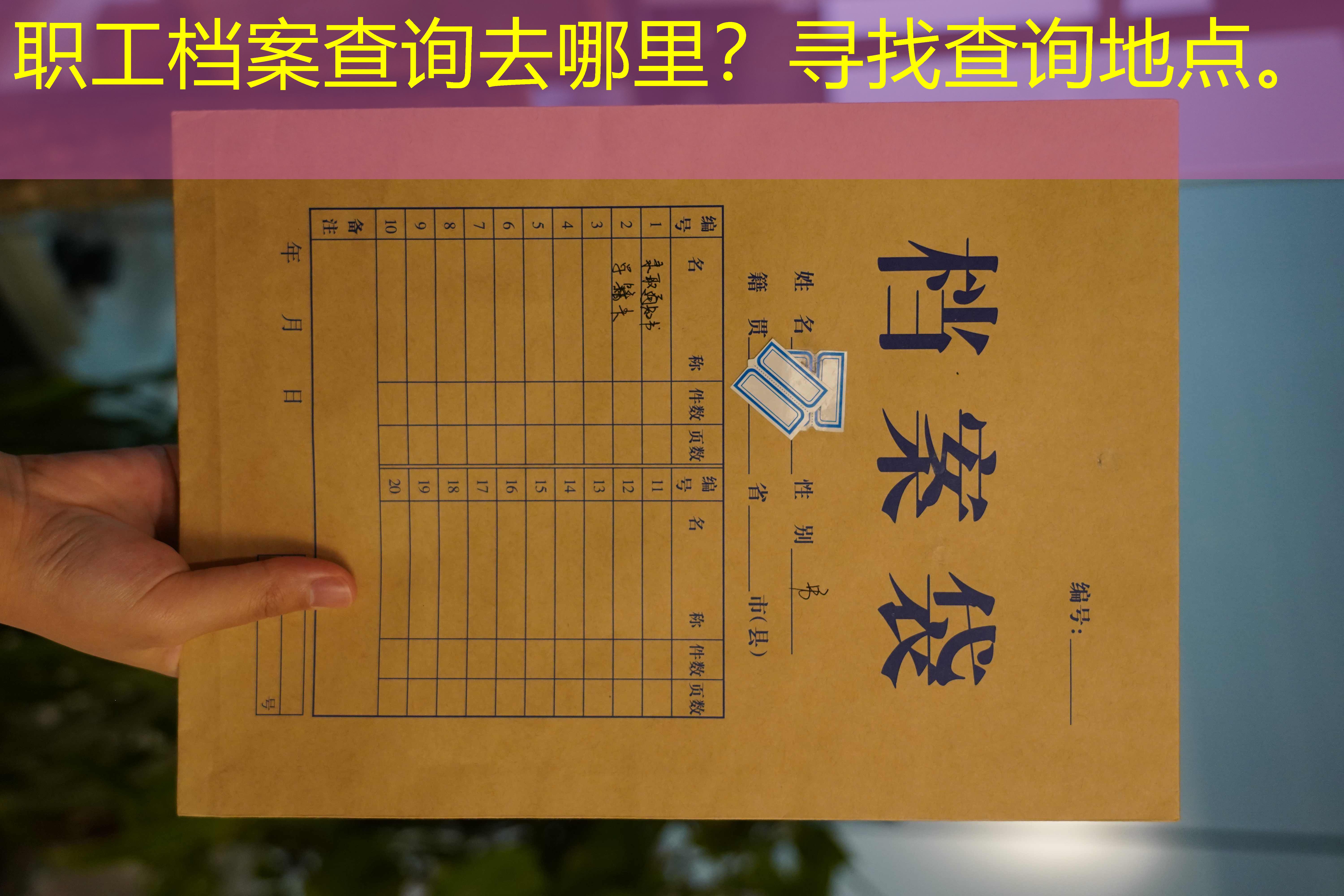 档案查询
