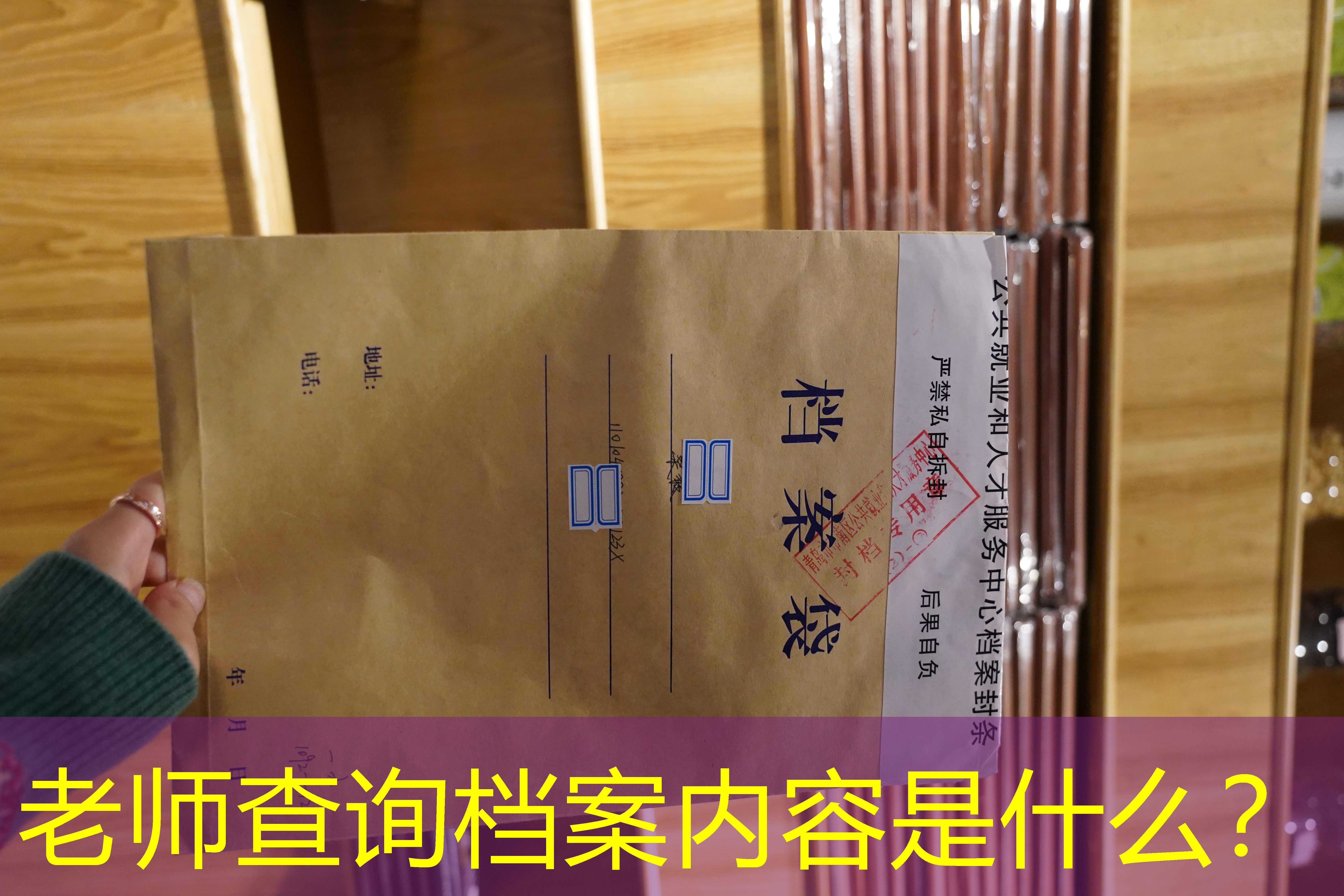 档案查询