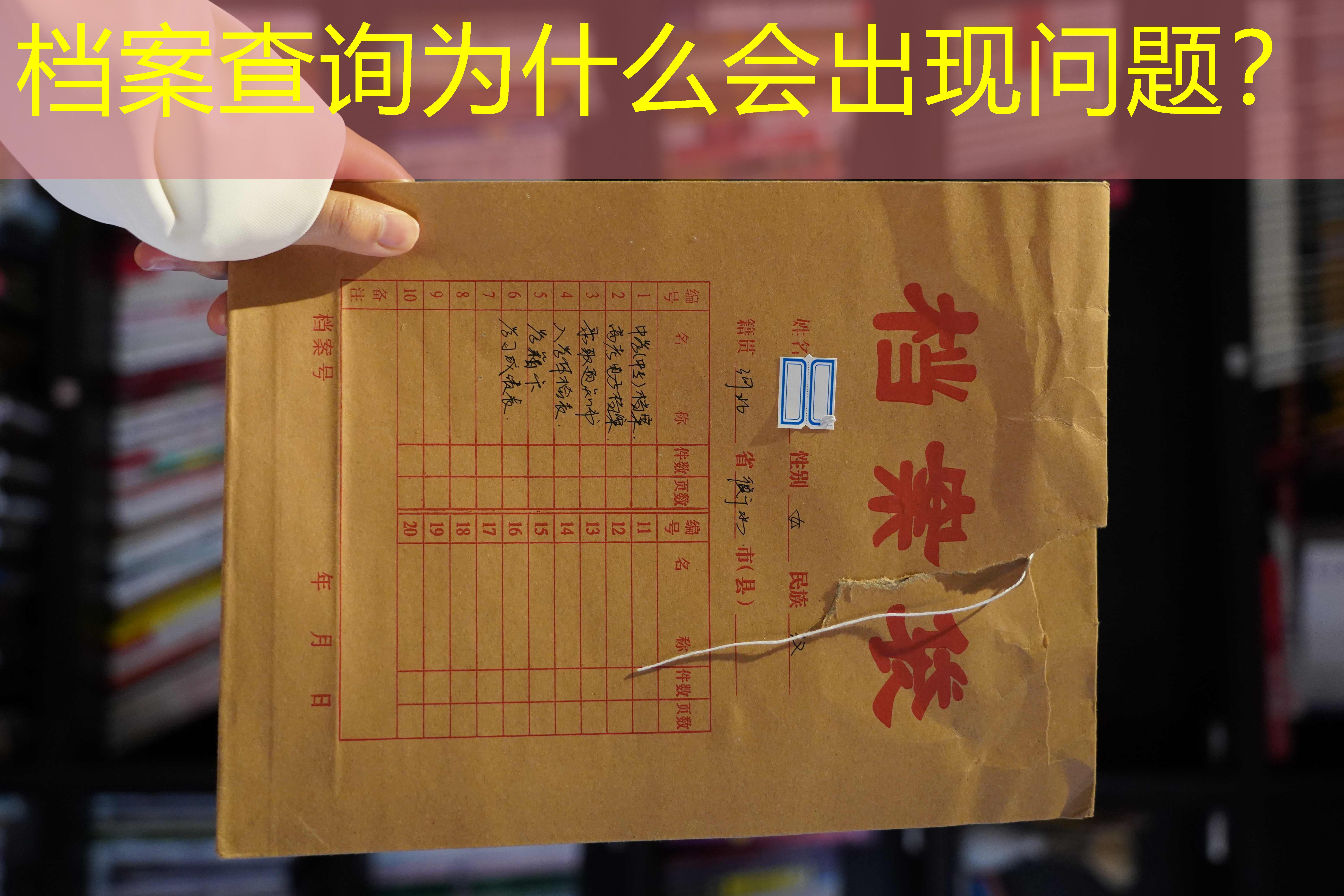 档案查询