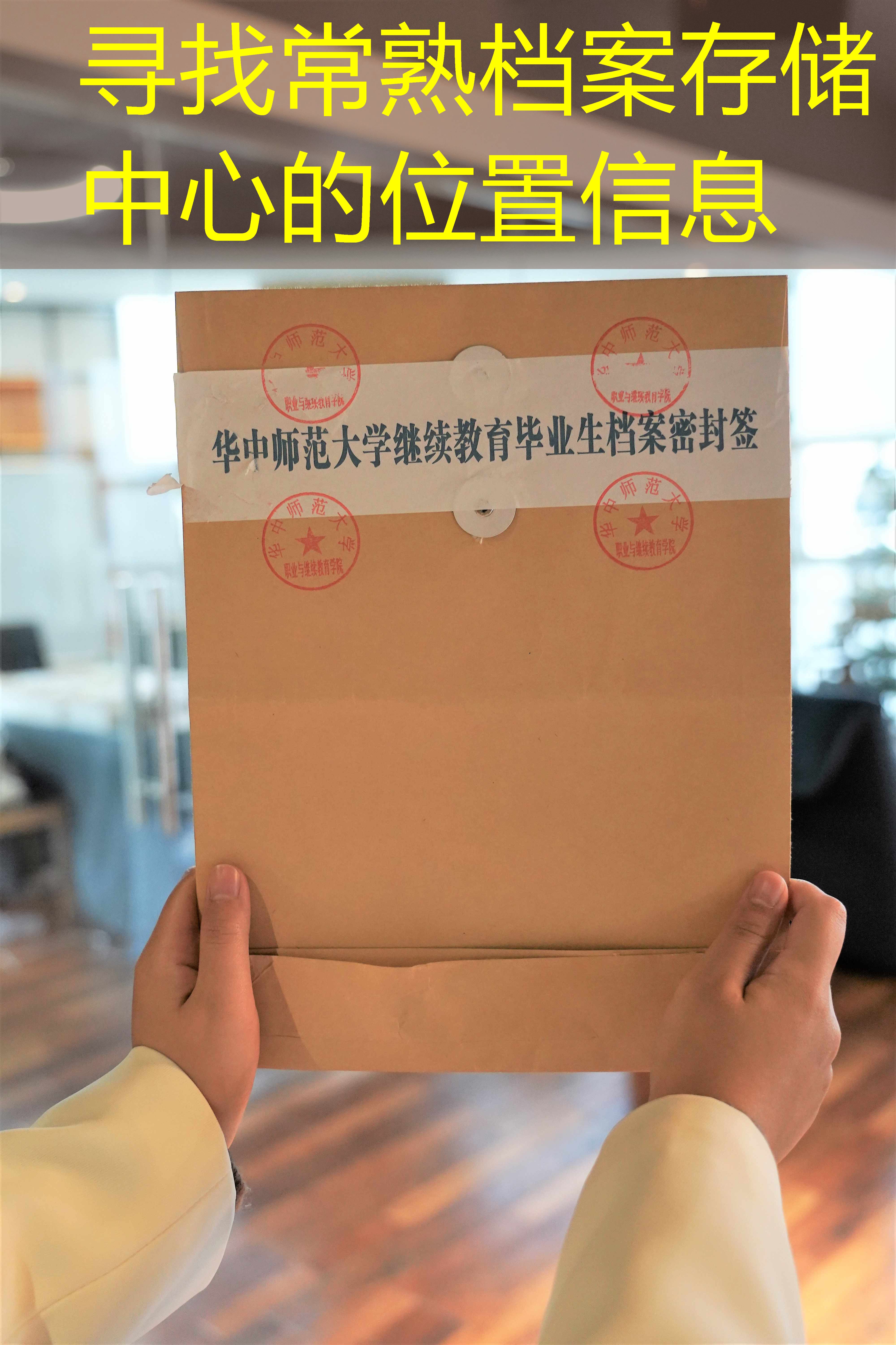 档案查询