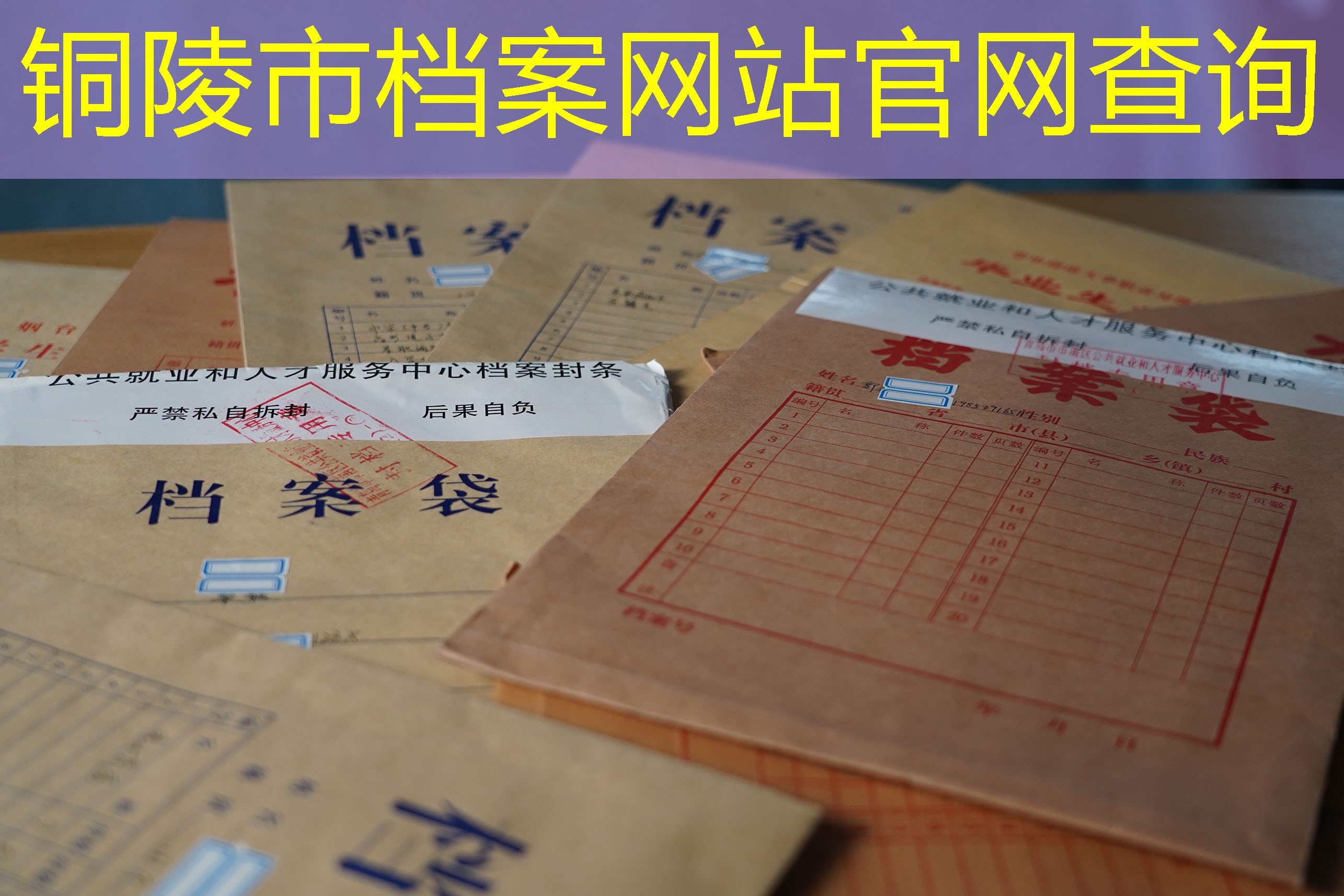 档案查询