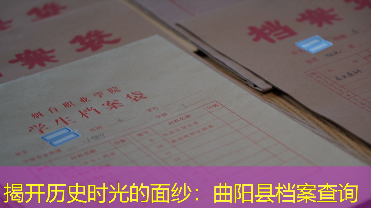 档案查询