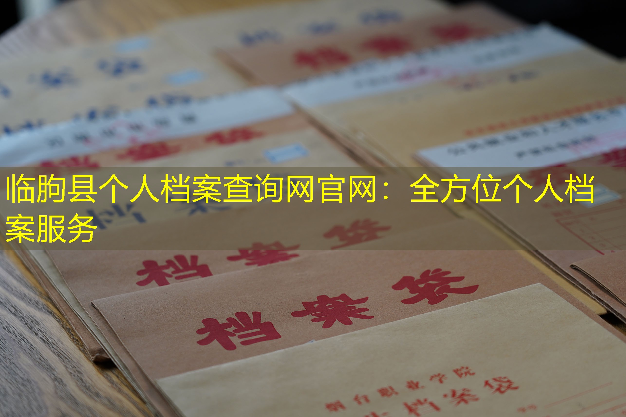 档案查询