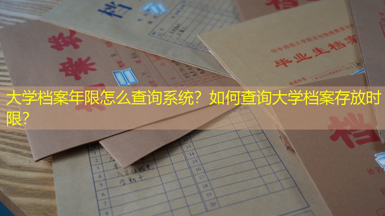 档案查询