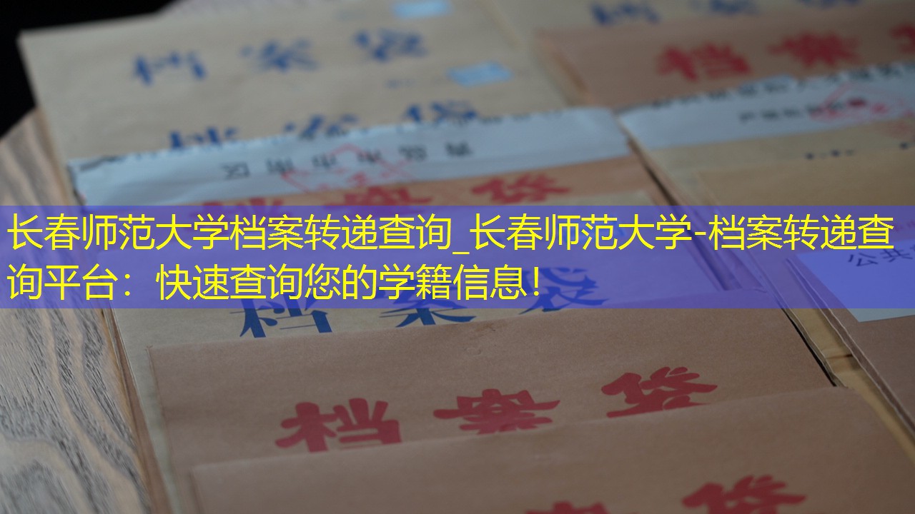 档案查询