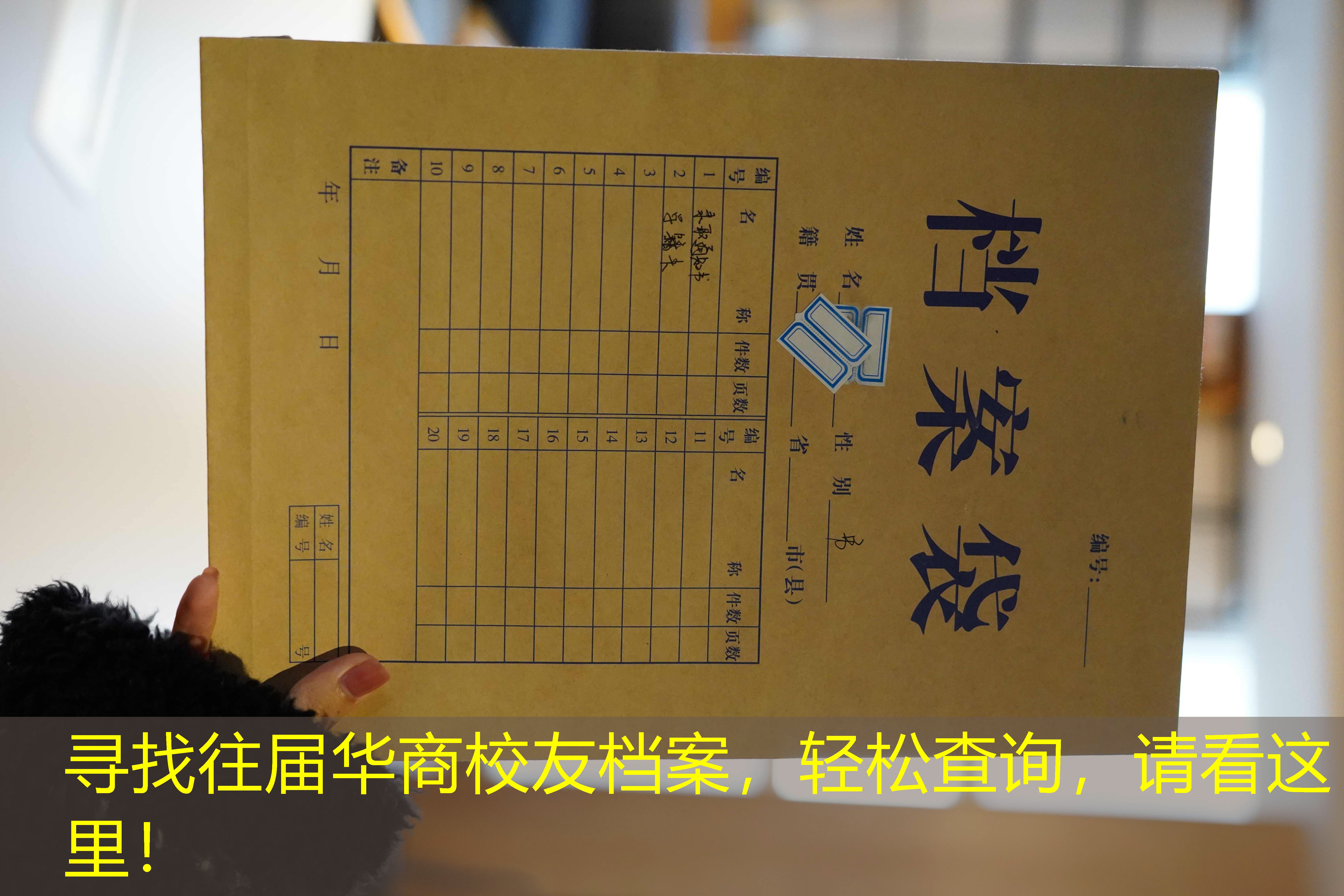 档案查询