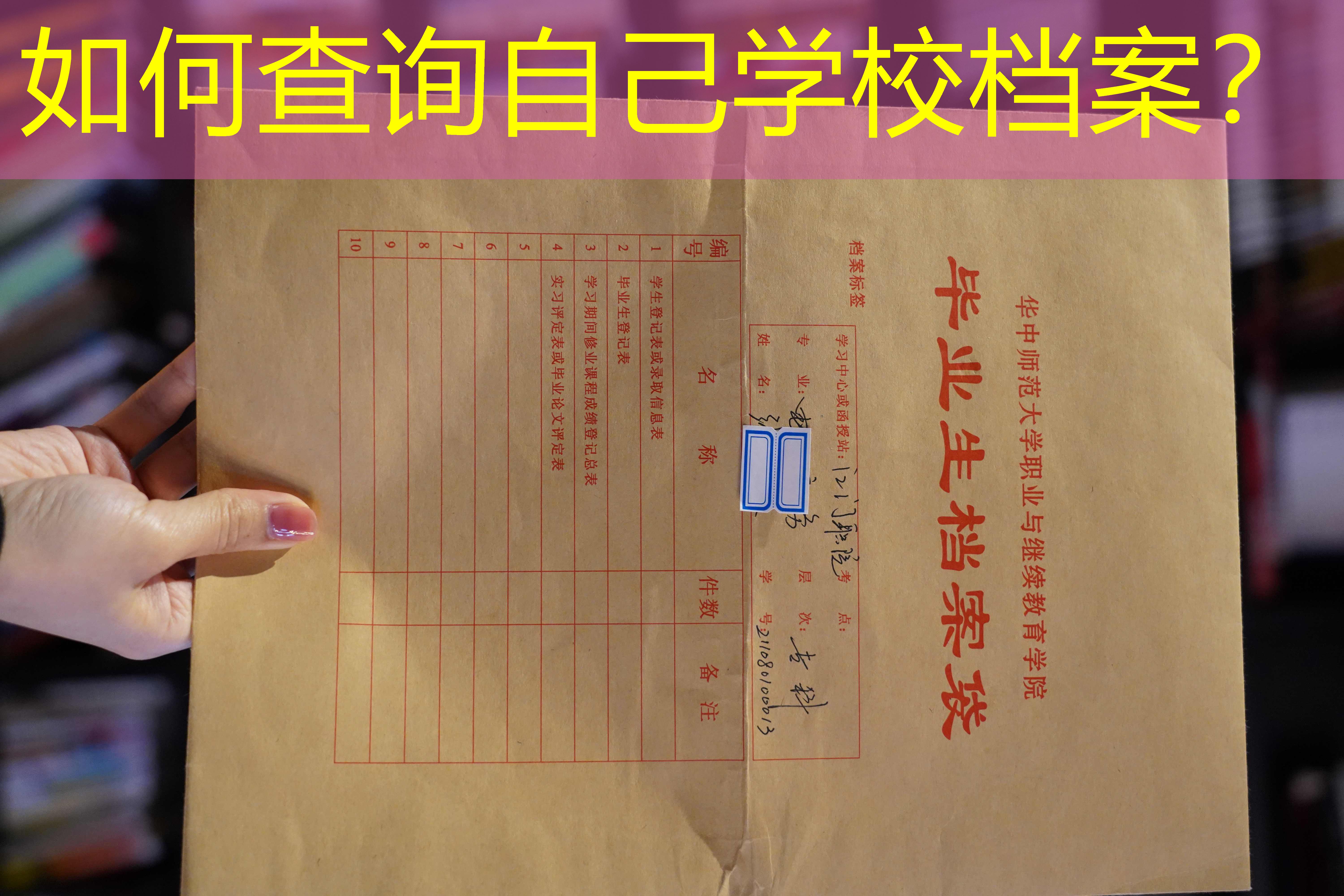 档案查询