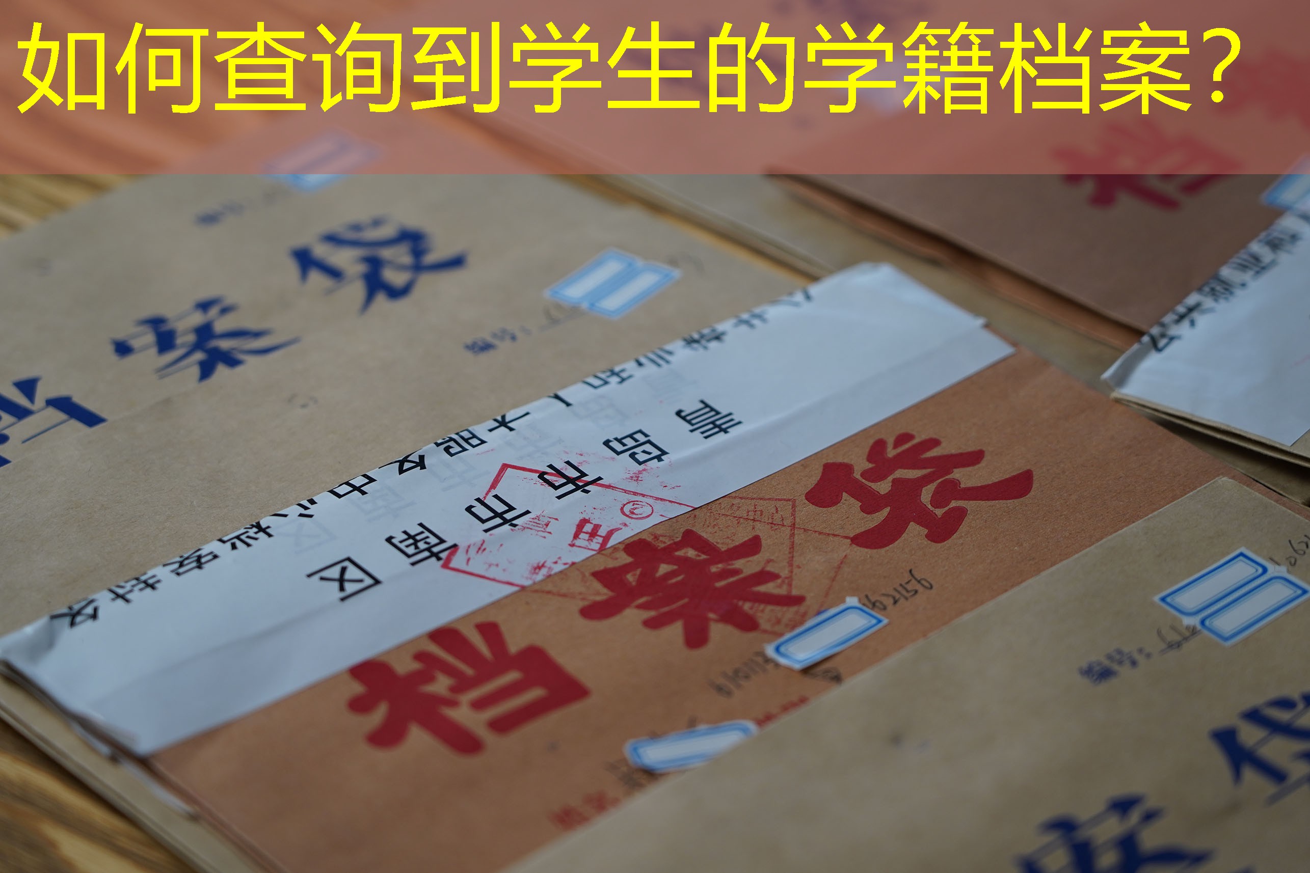 档案查询