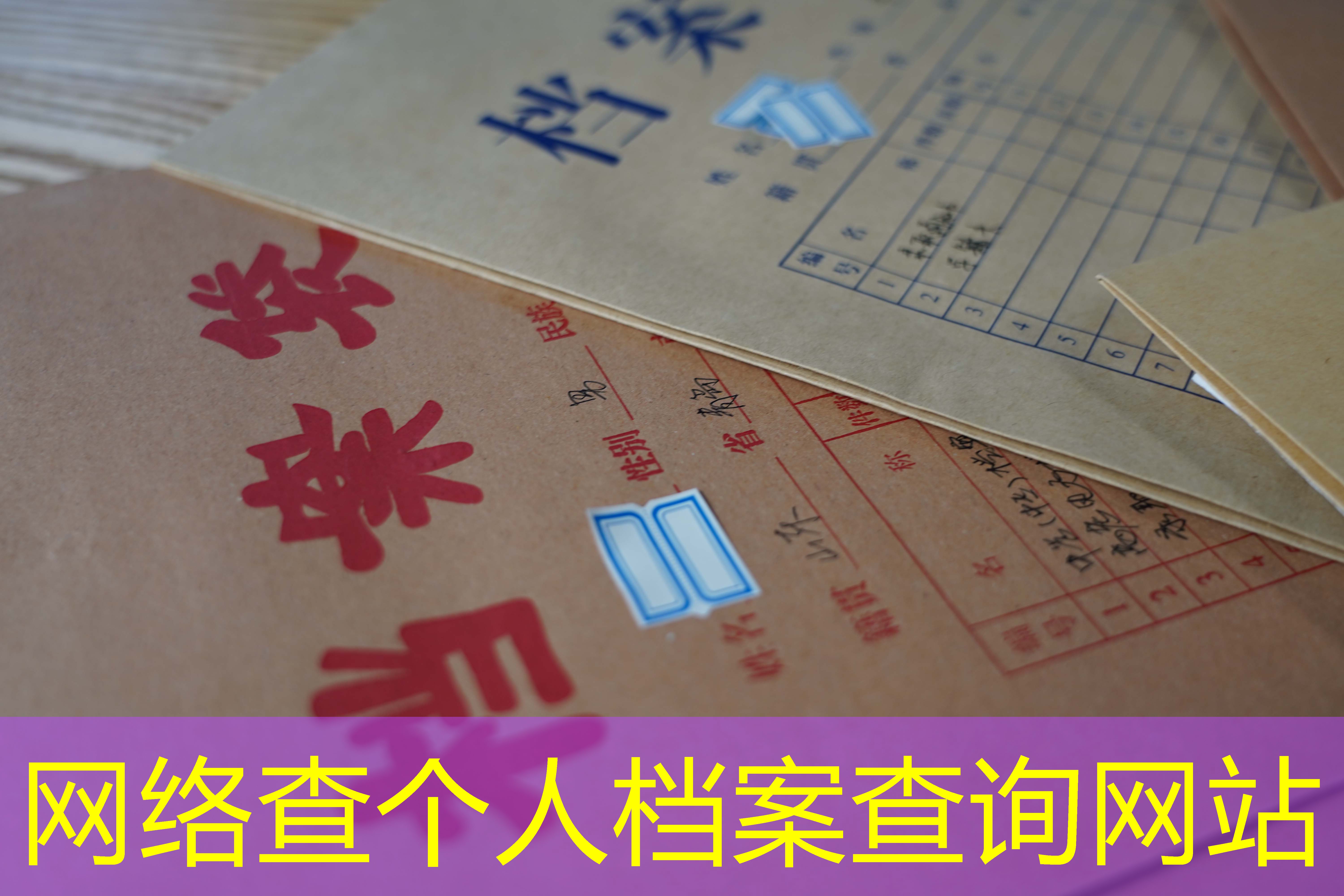 档案查询