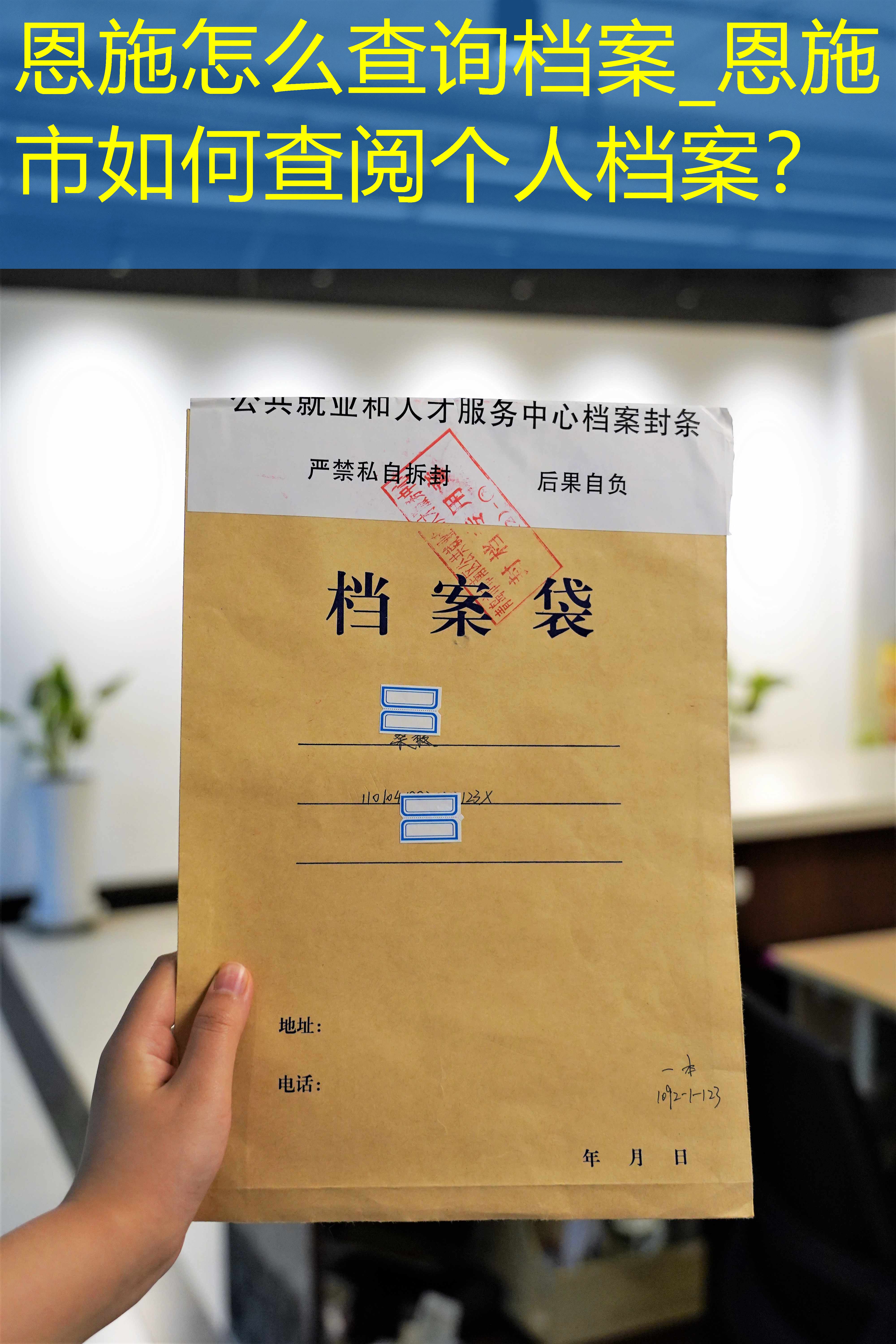 档案查询