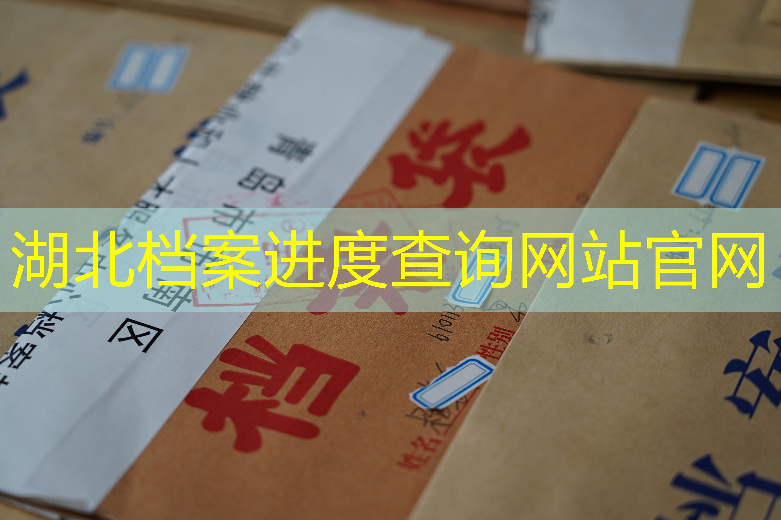 档案查询