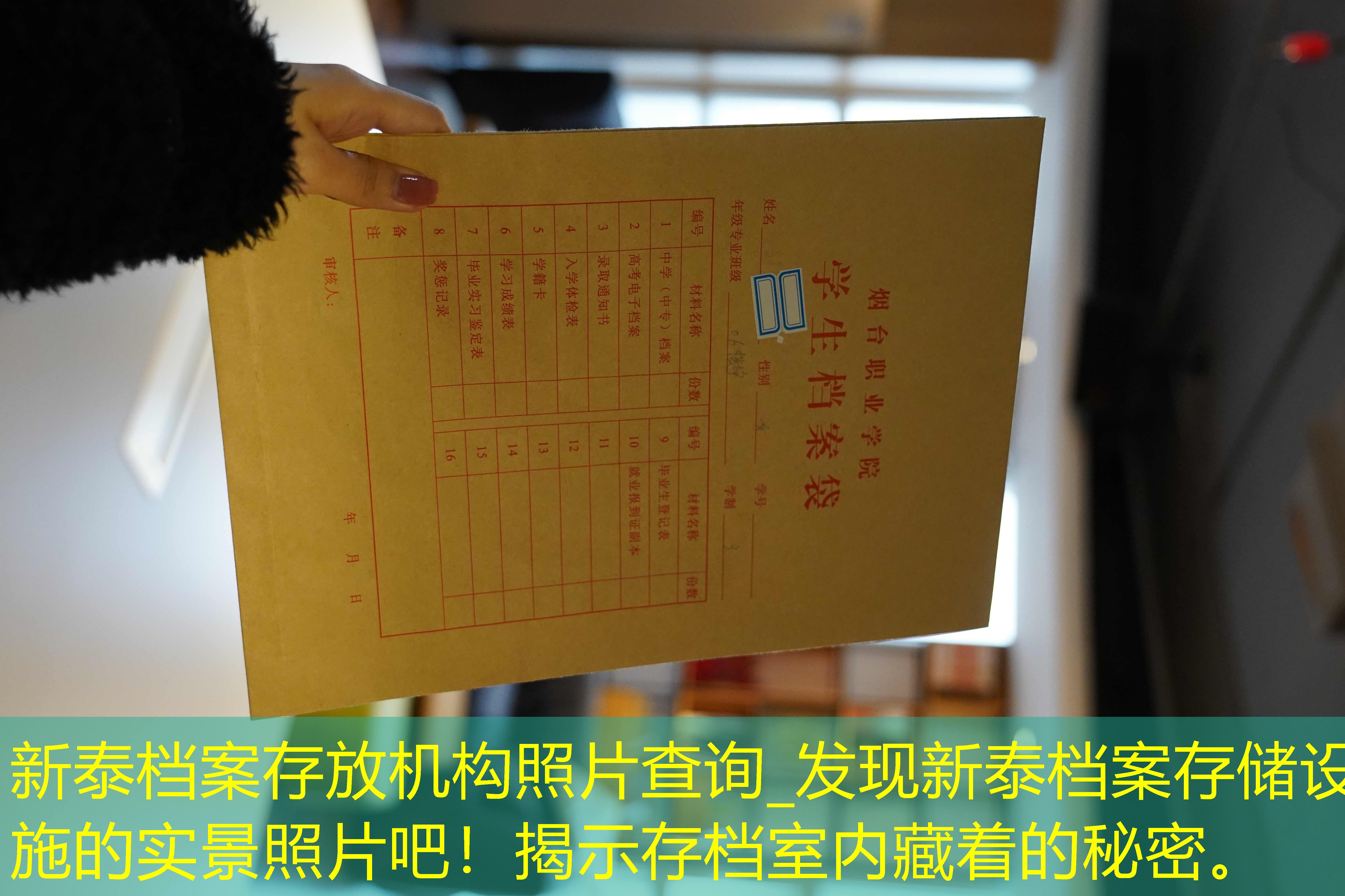 档案查询