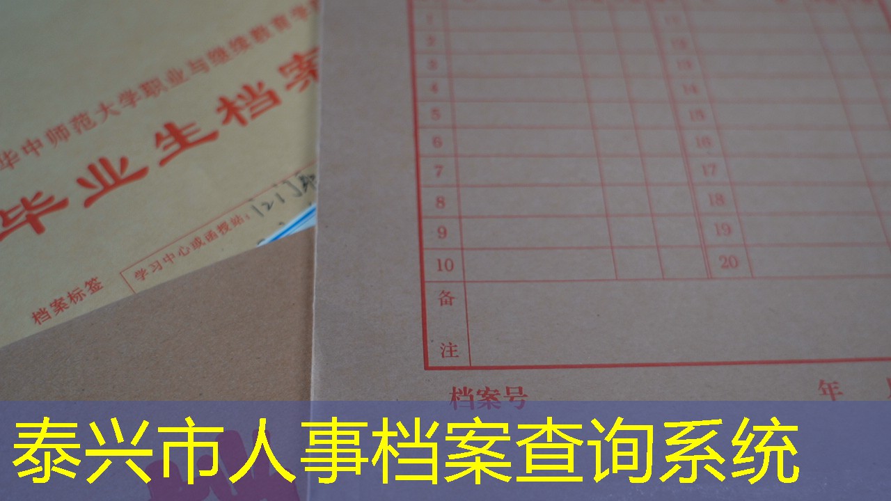 档案查询