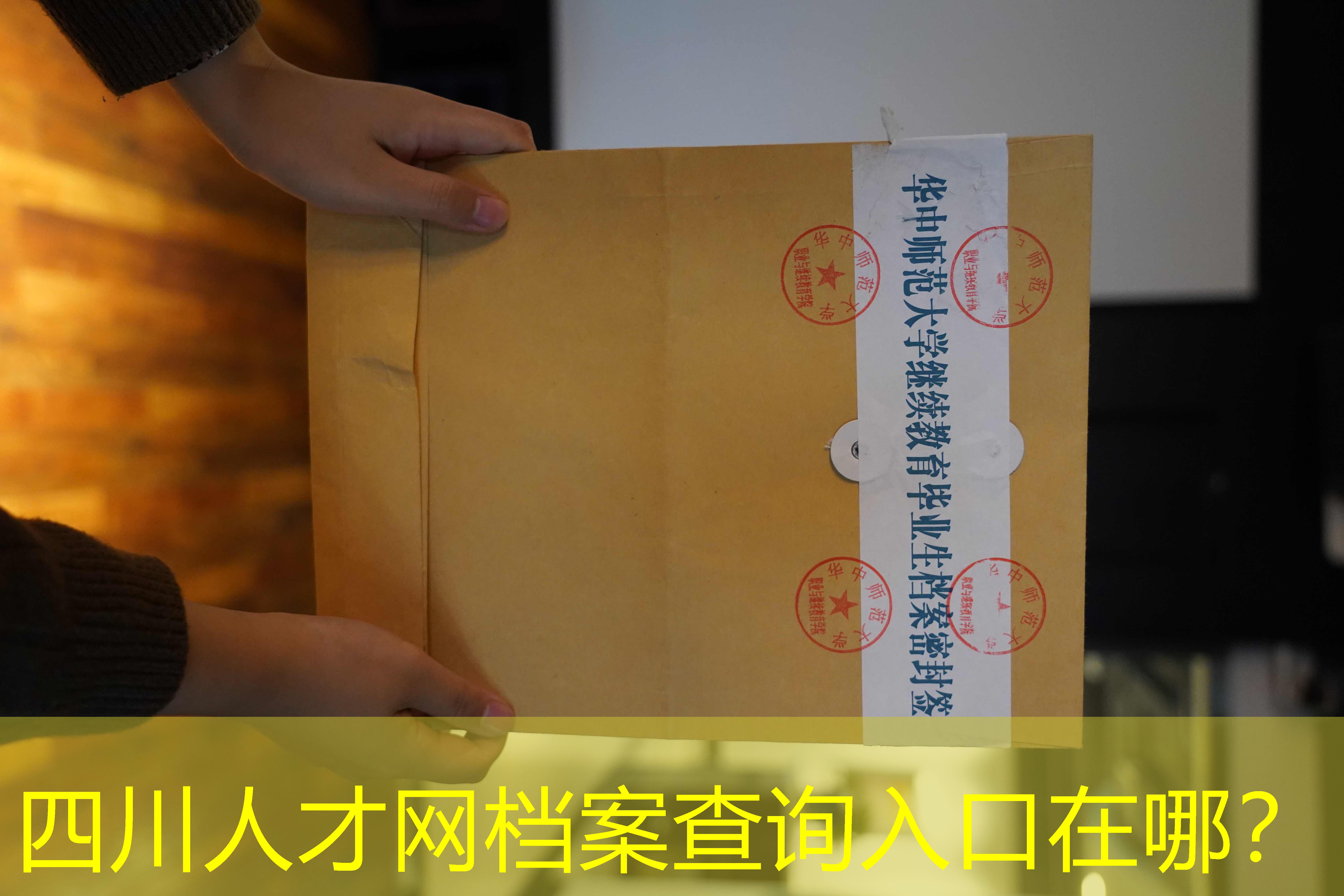 档案查询