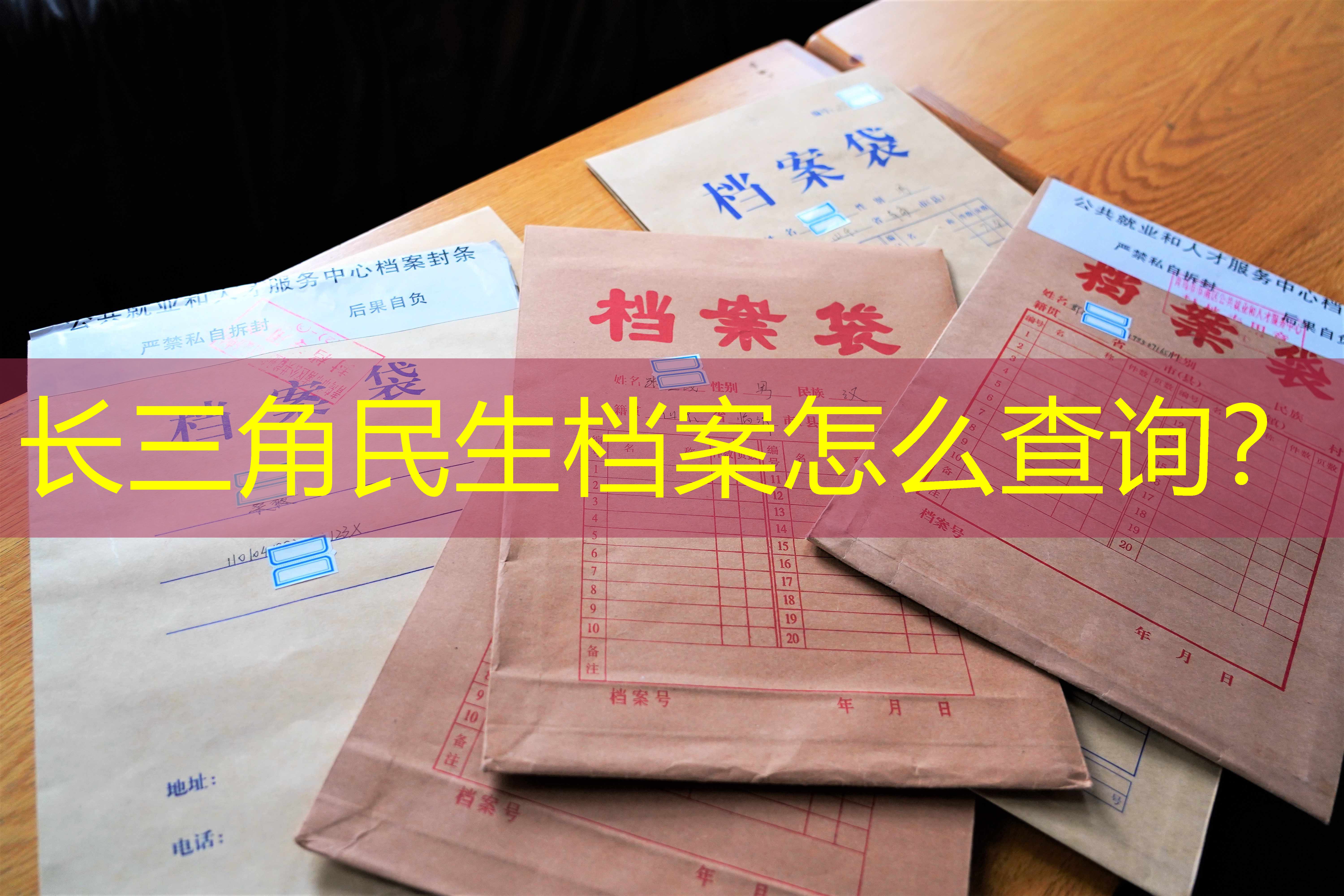 档案查询