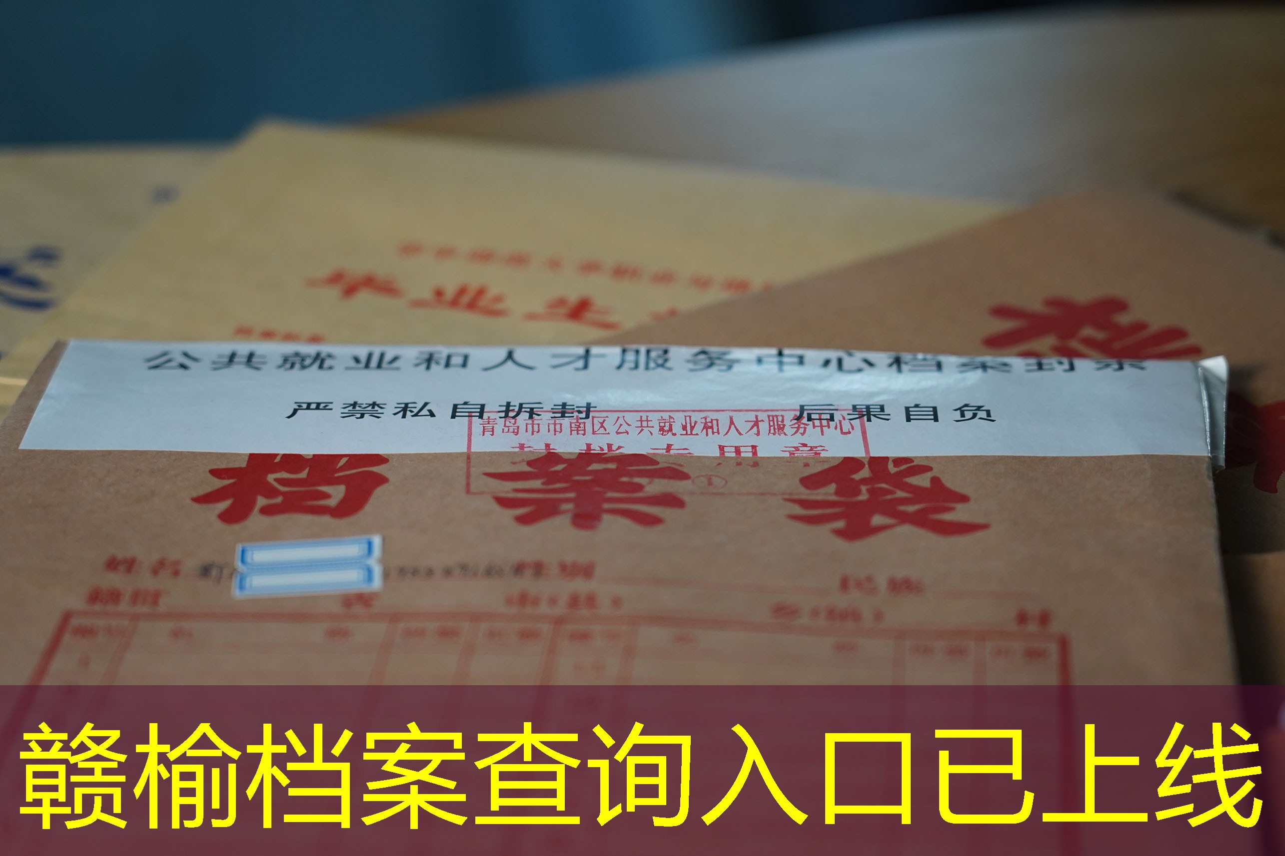 档案查询