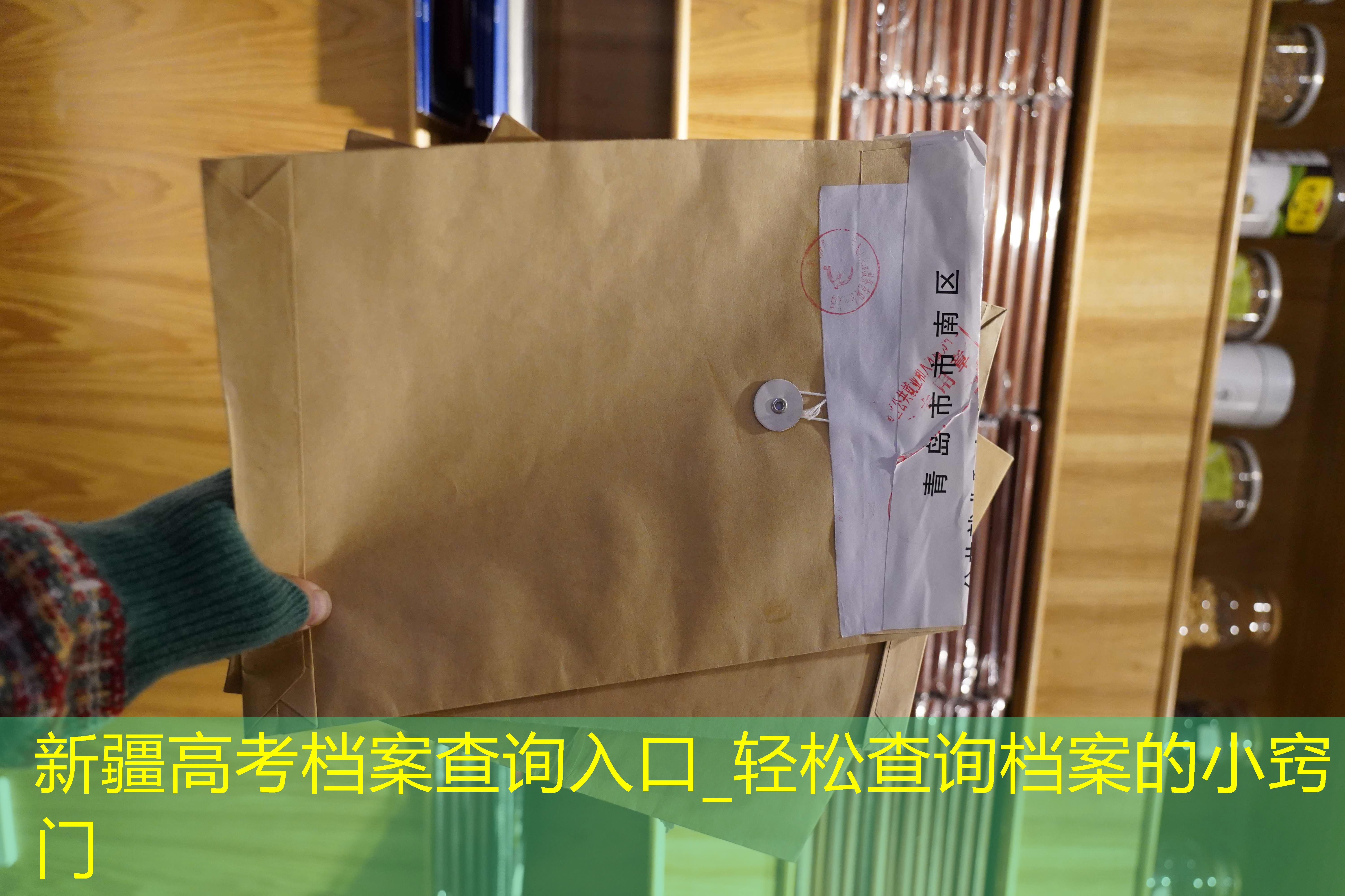 档案查询