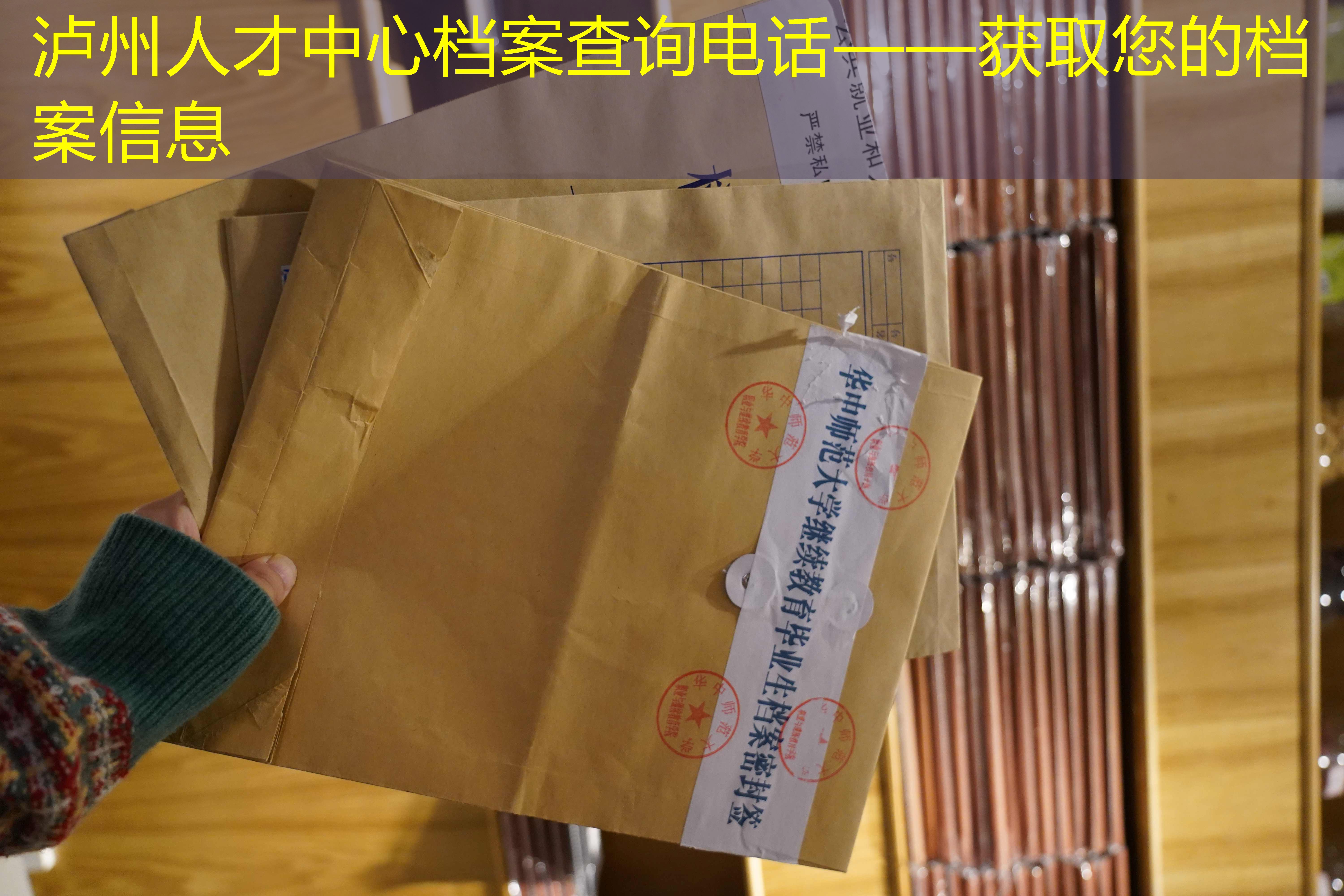 档案查询