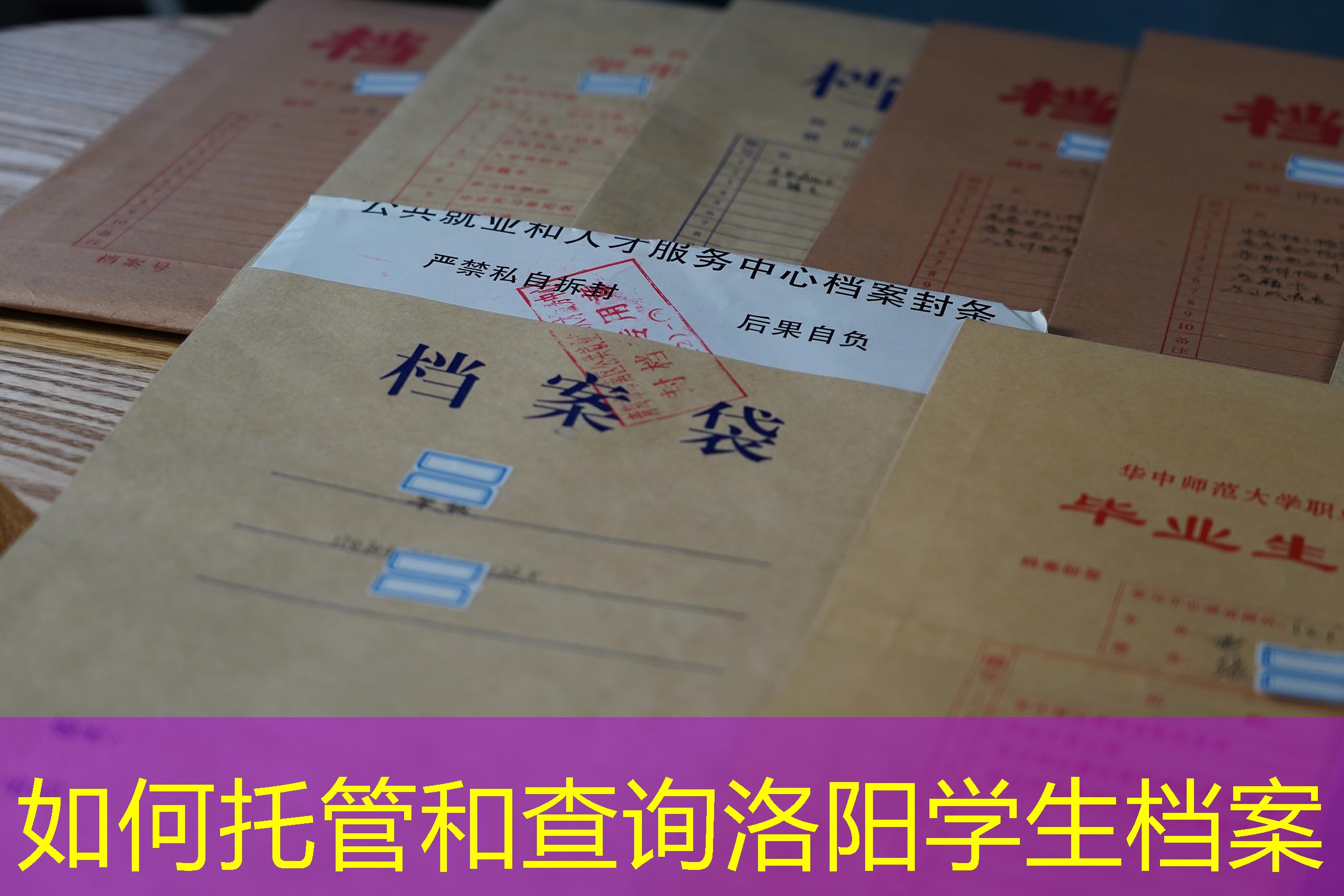 档案查询