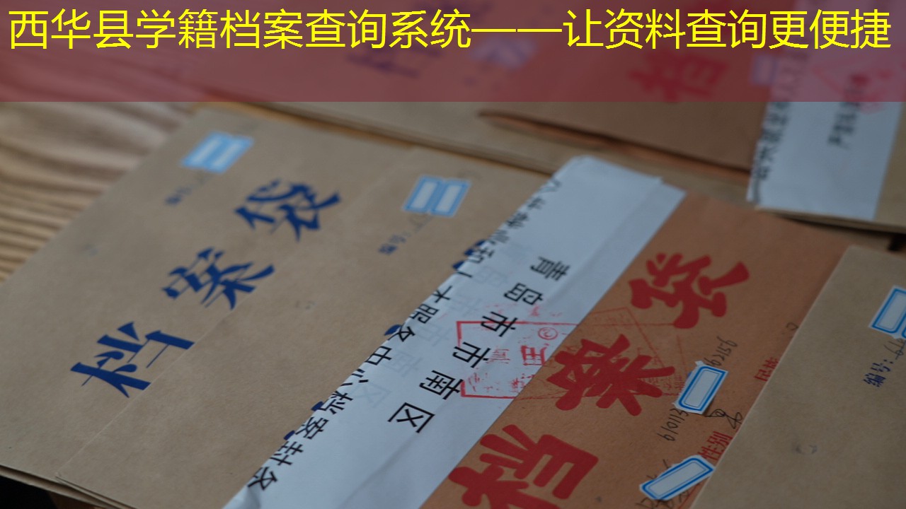 档案查询