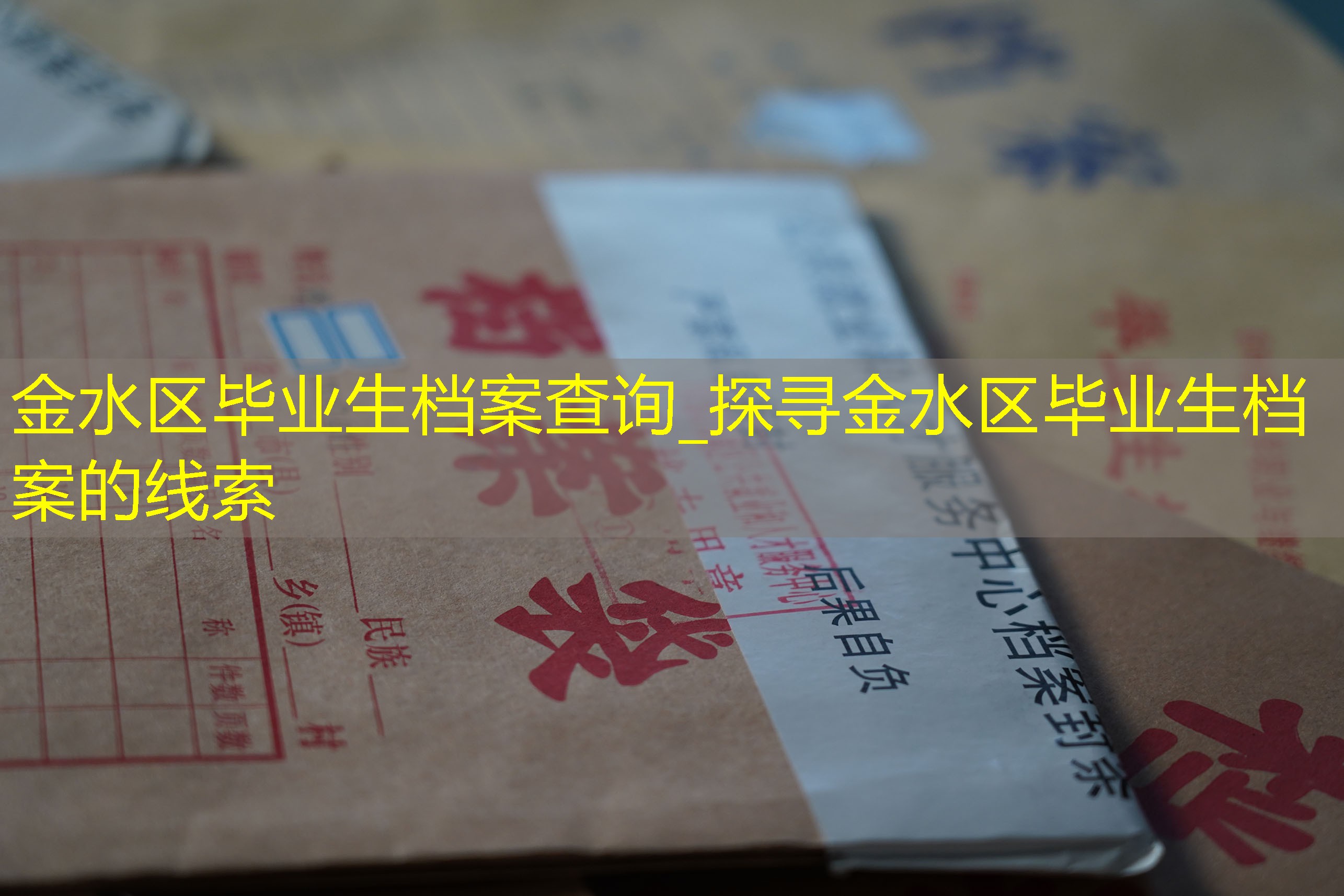 档案查询