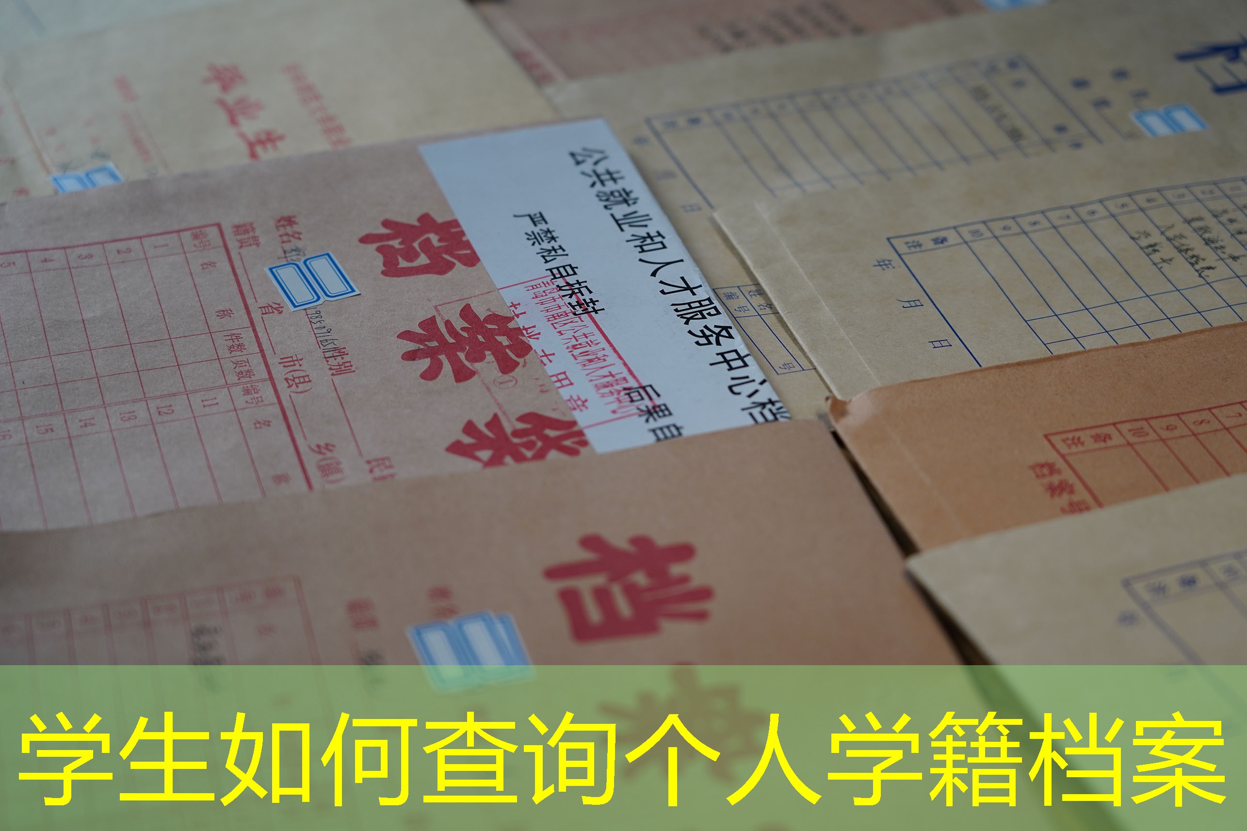 档案查询