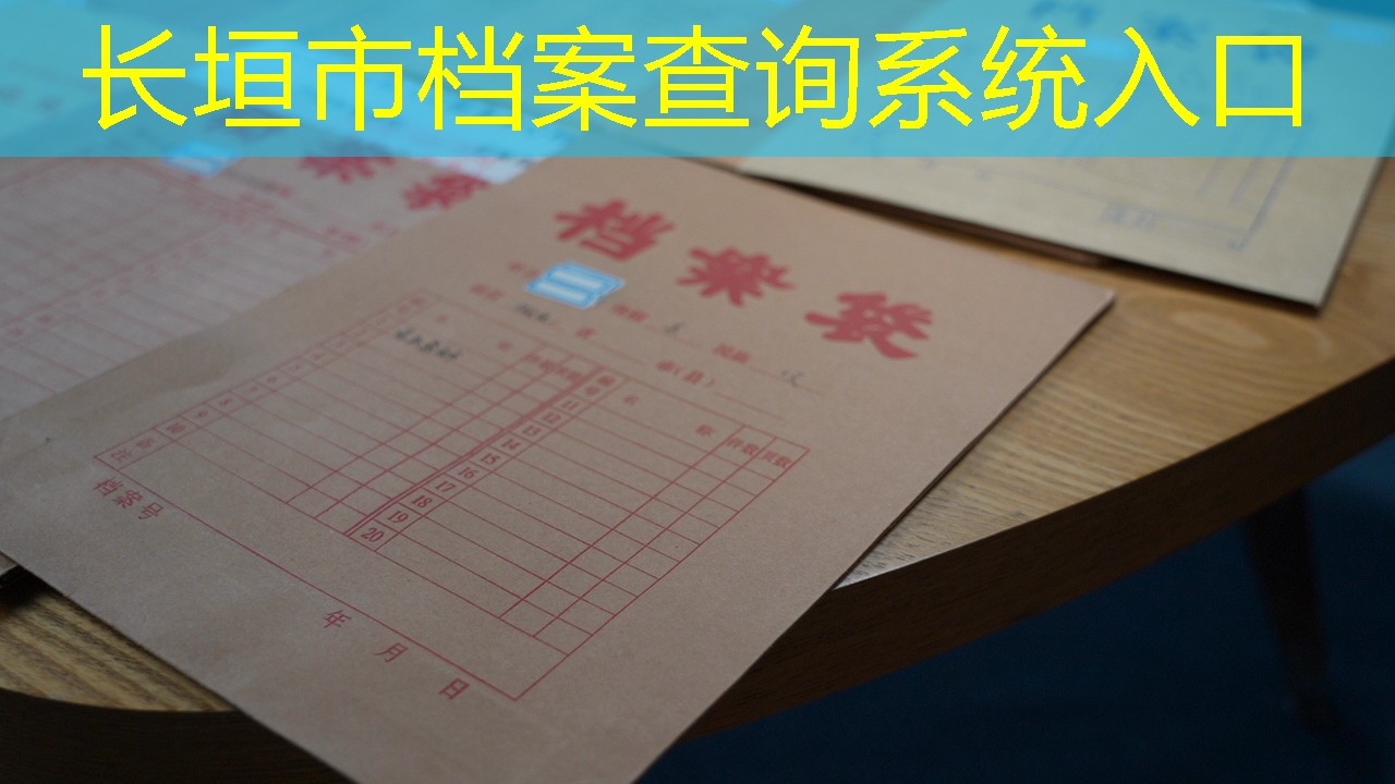 档案查询