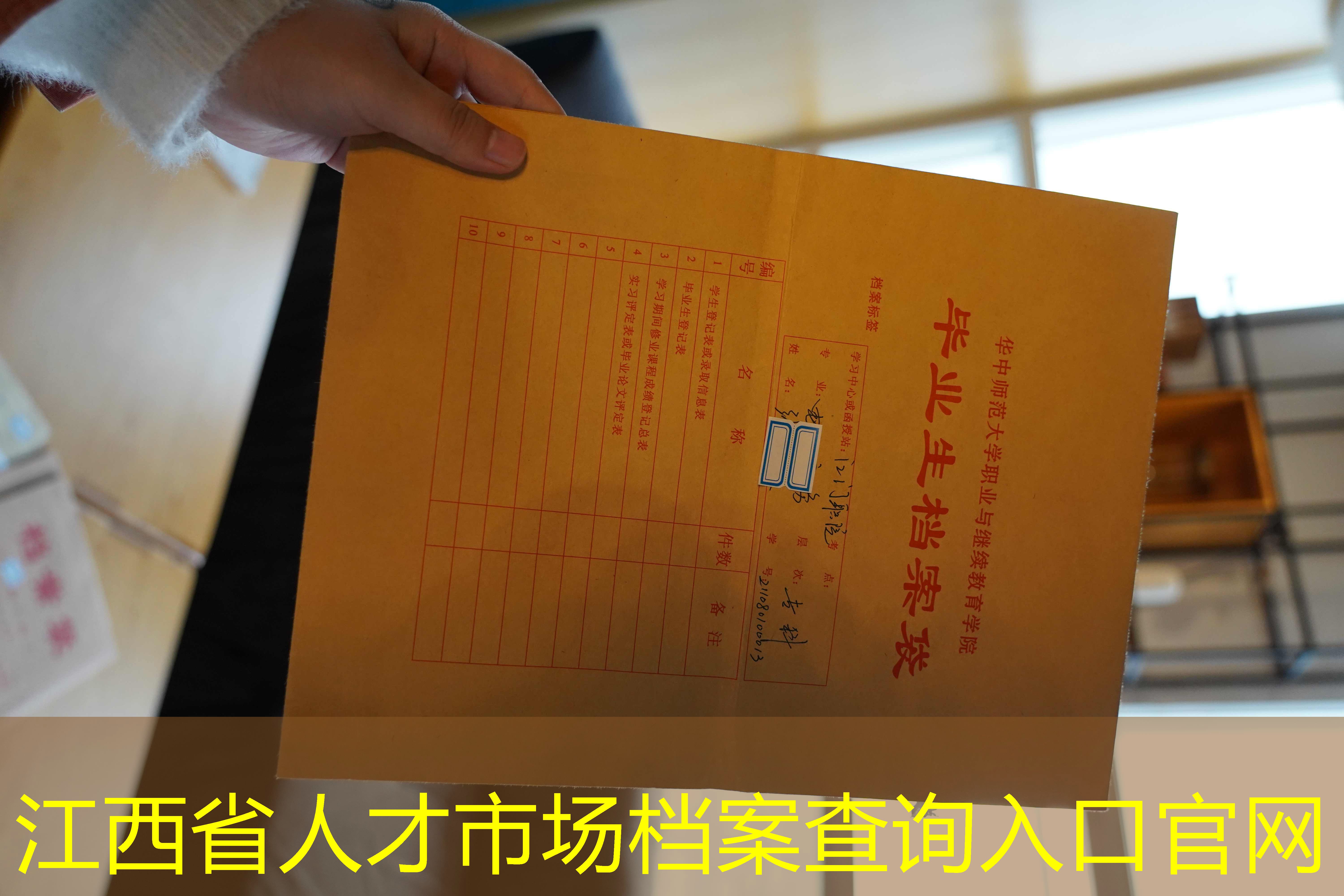 档案查询