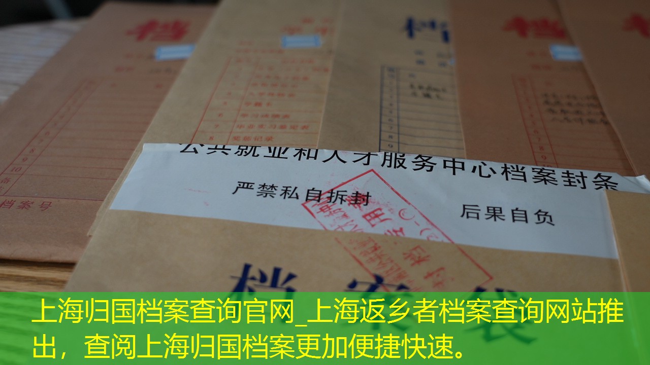 档案查询