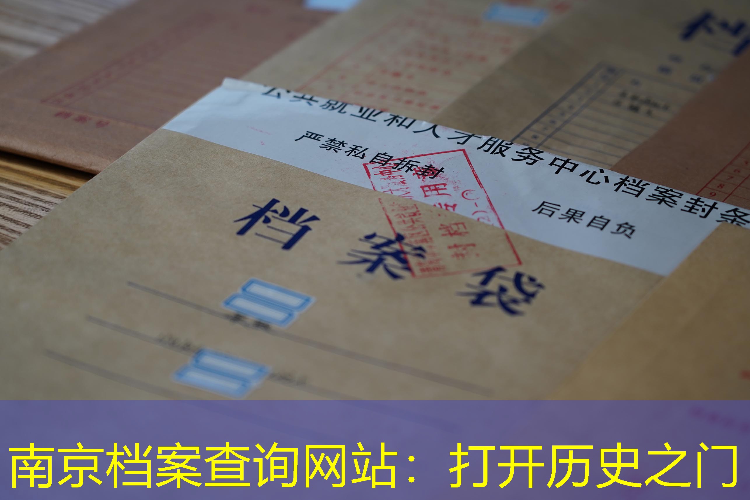 档案查询