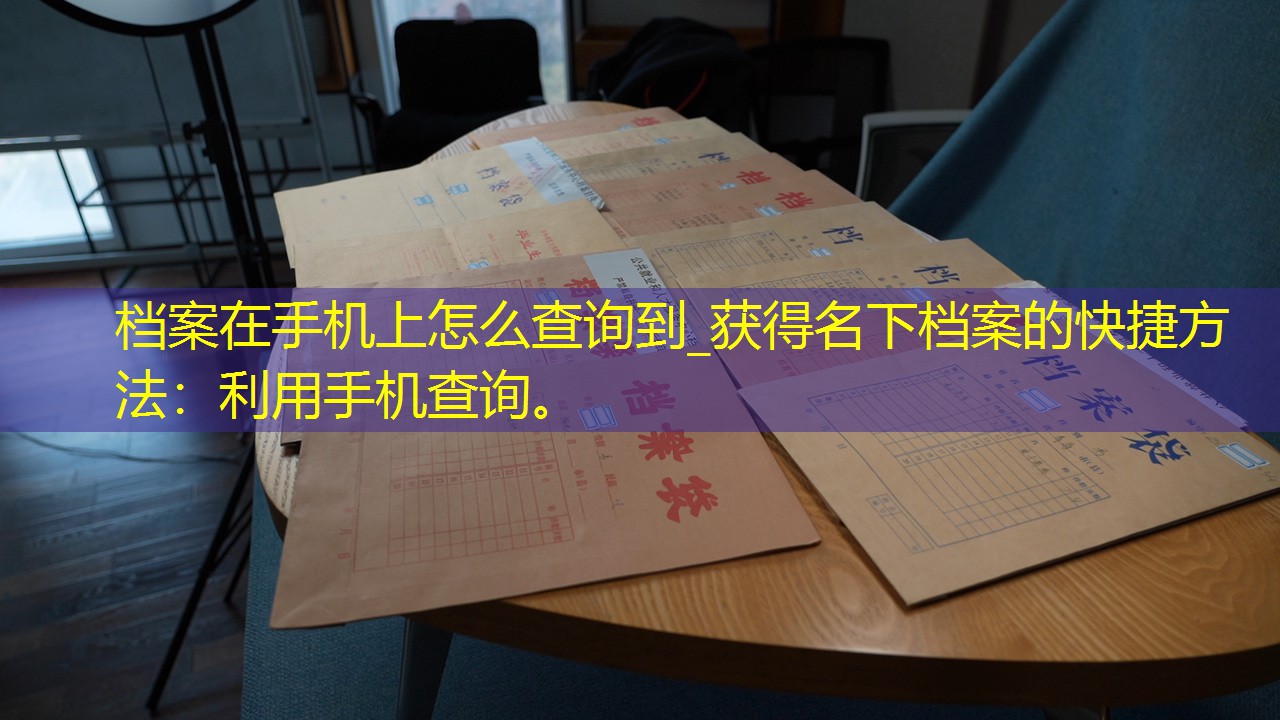 档案查询
