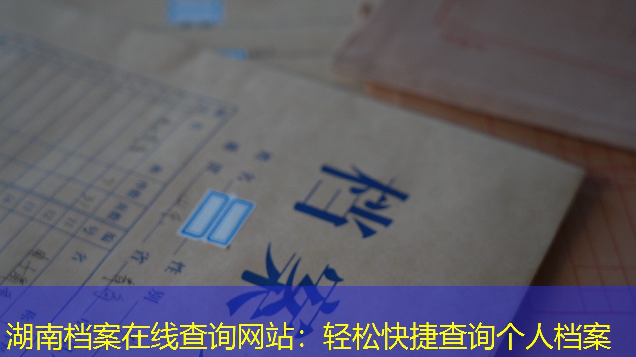 档案查询