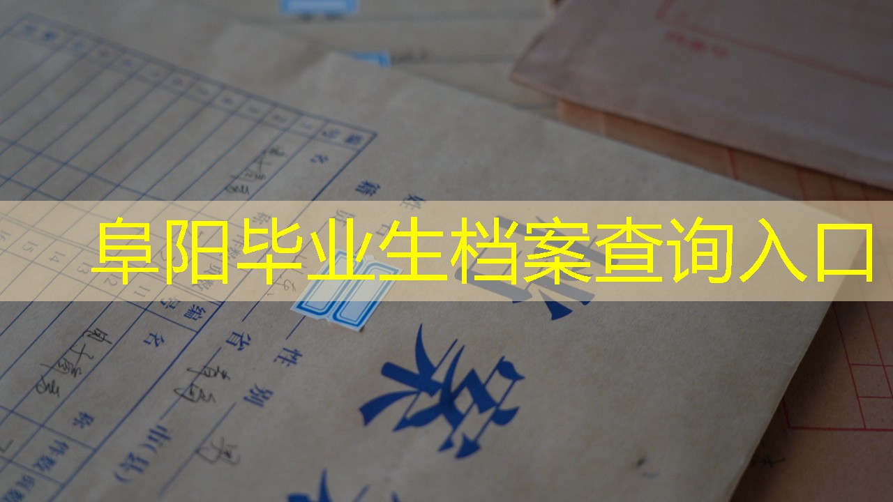 档案查询