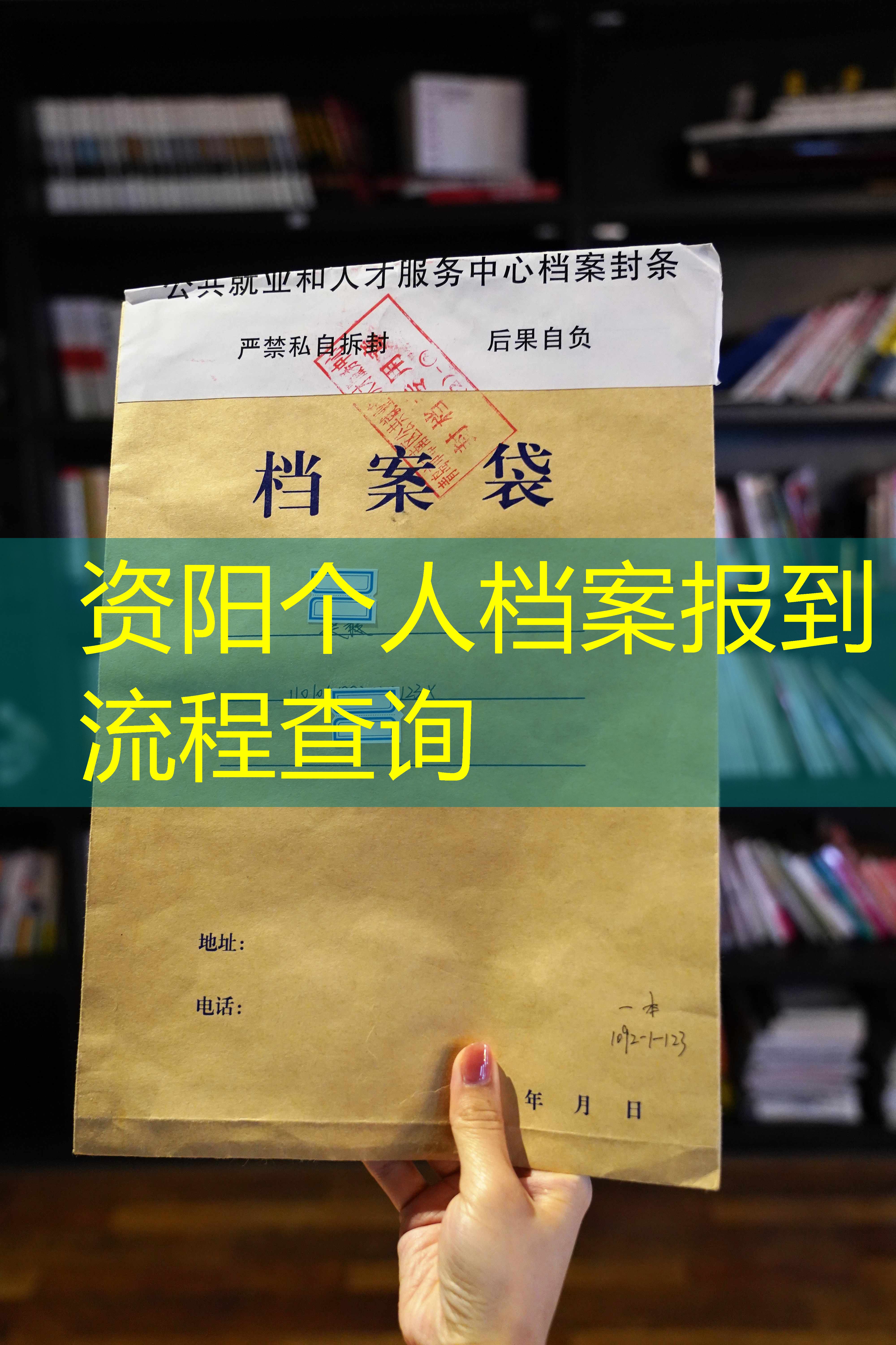 档案查询