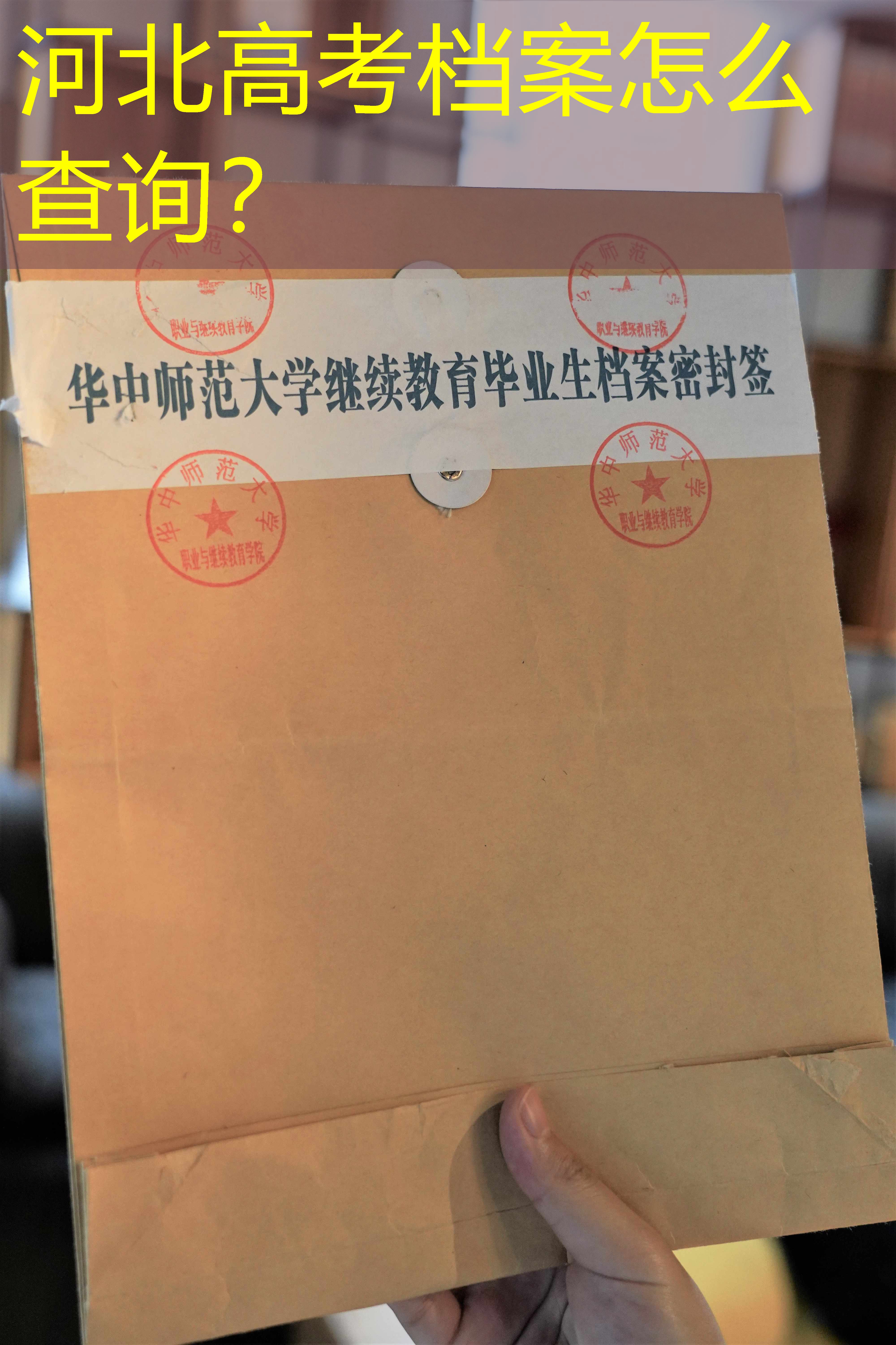 档案查询