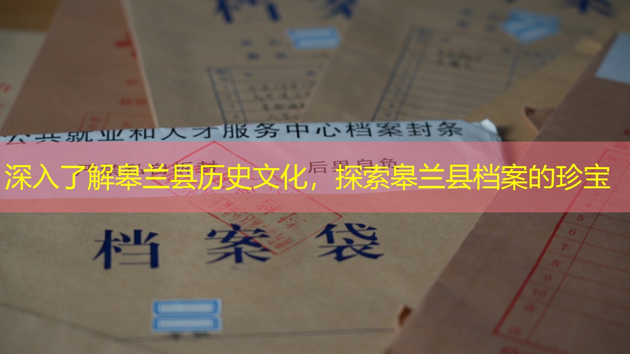 档案查询