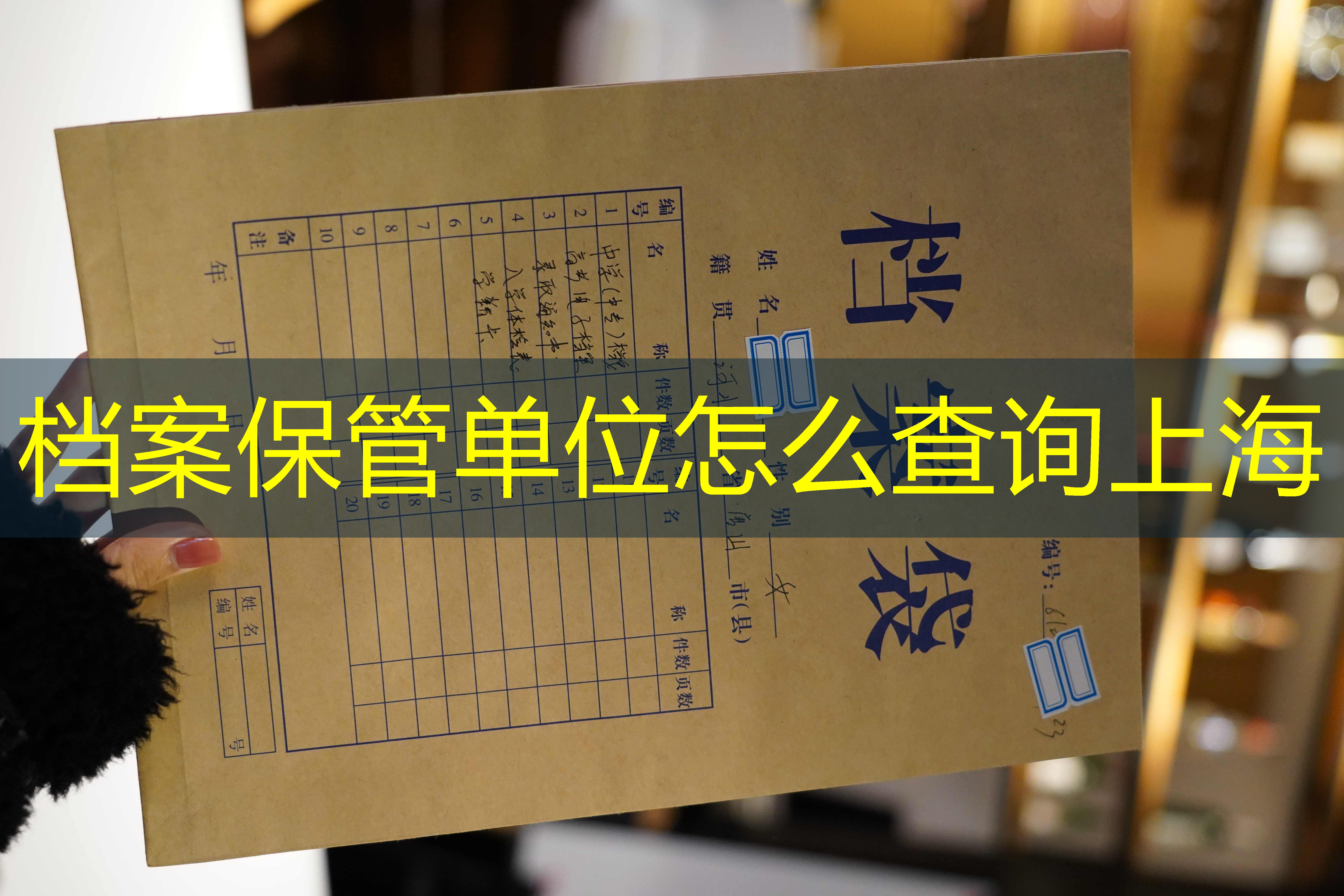 档案查询