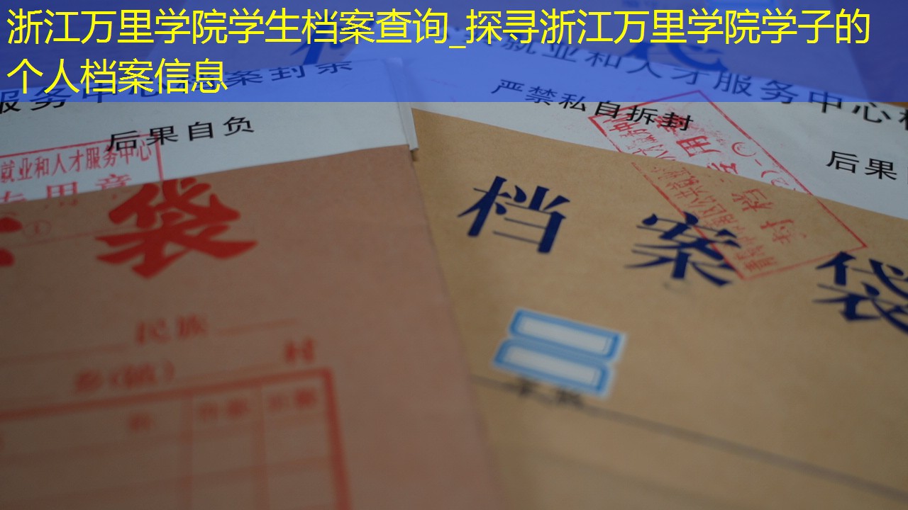 档案查询
