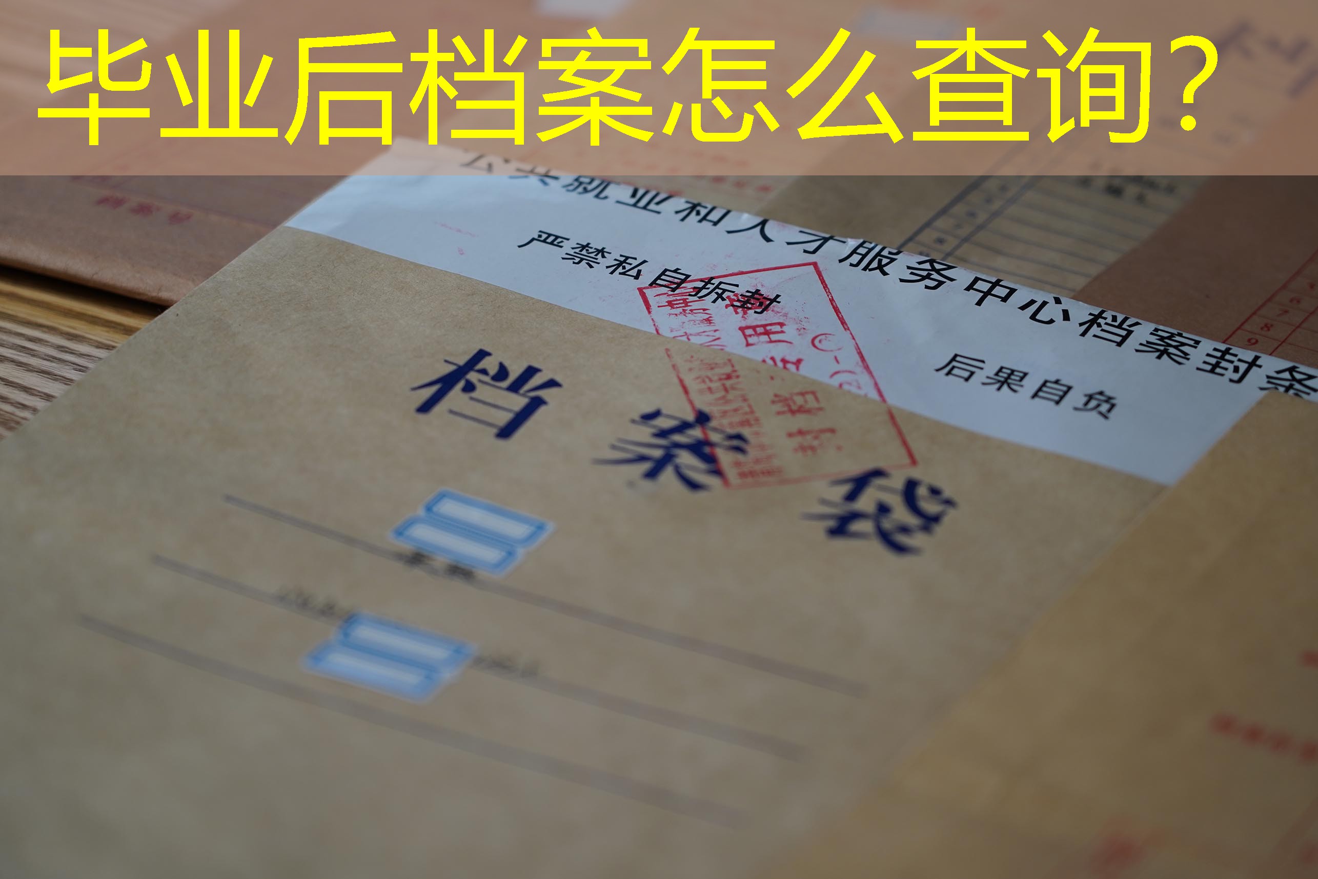 档案查询