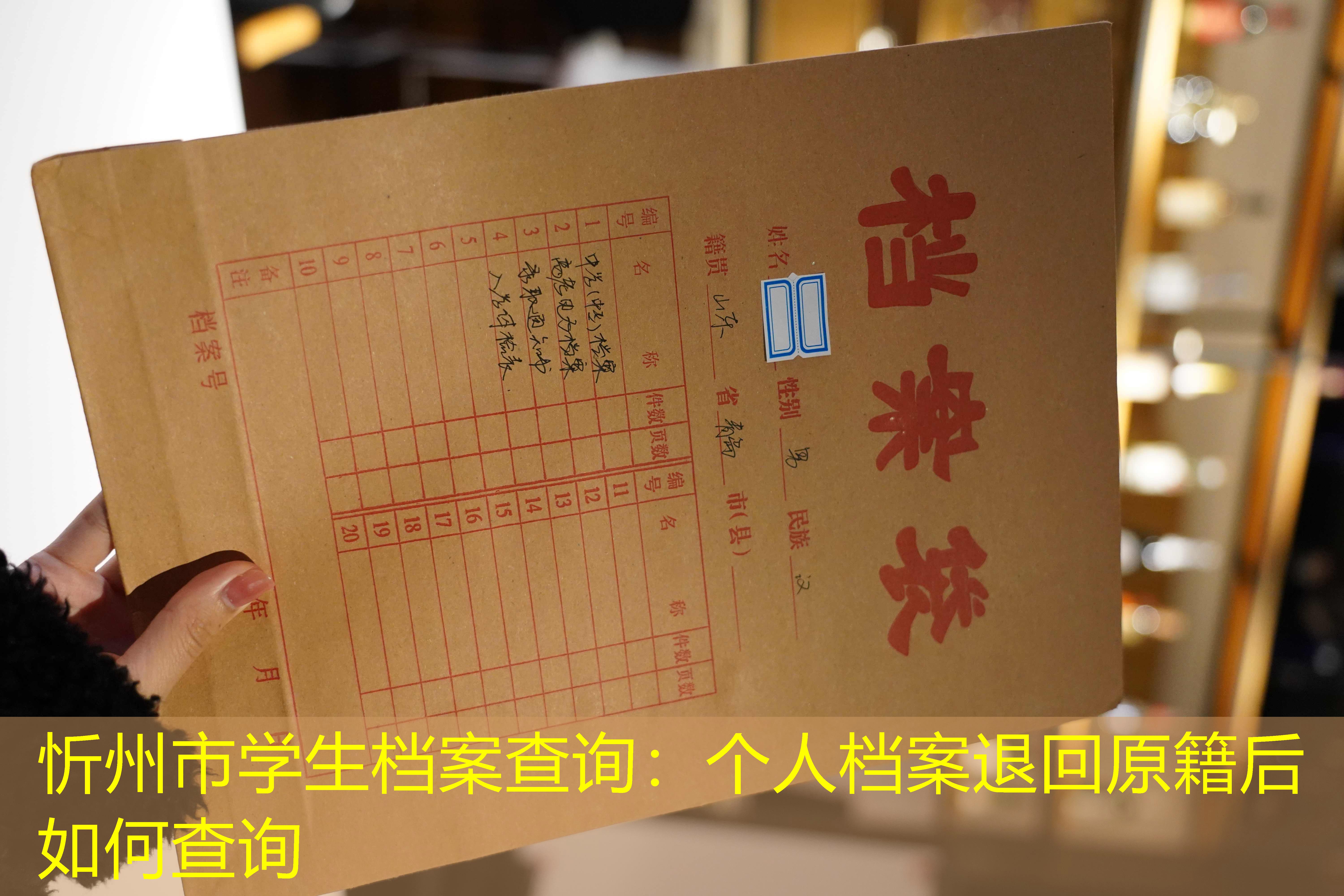 档案查询