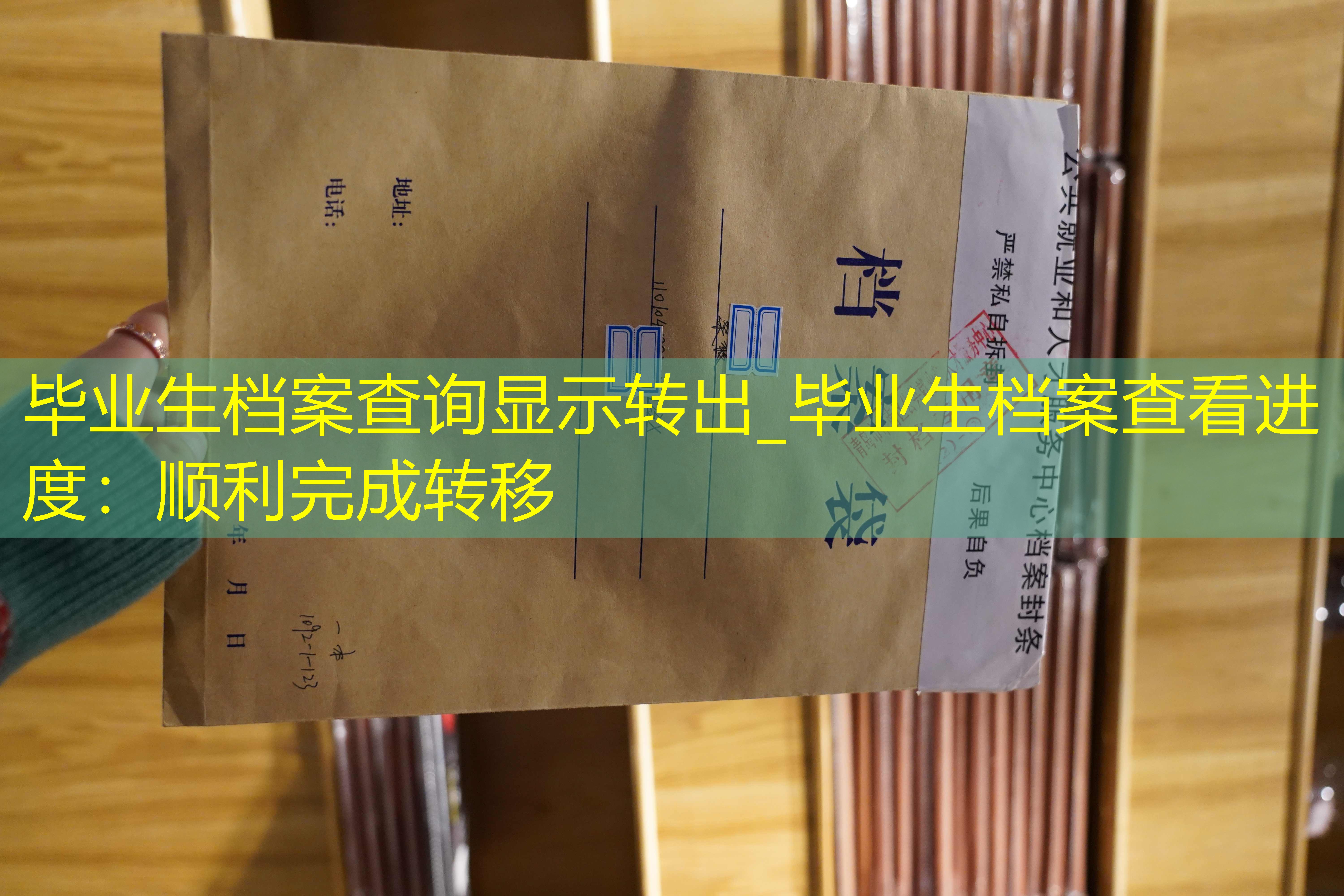 档案查询