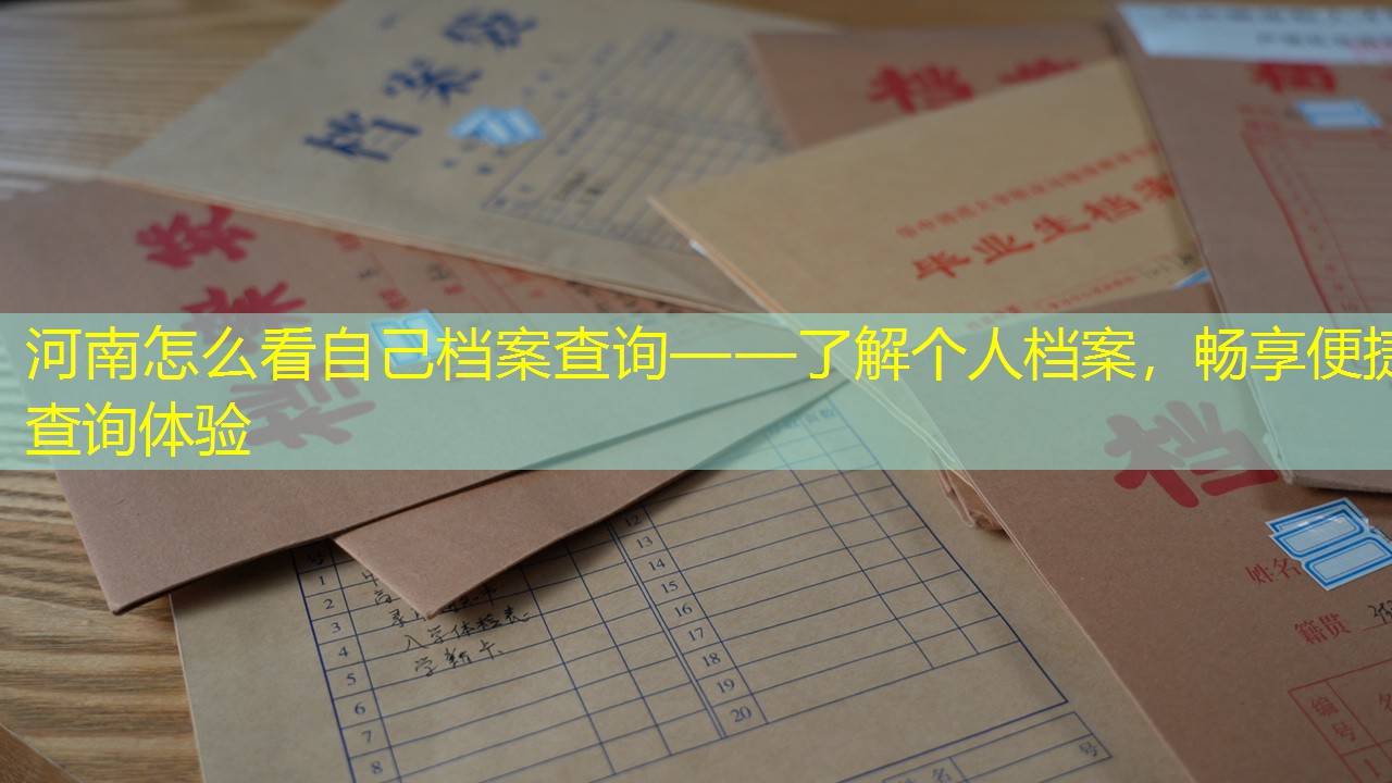 档案查询