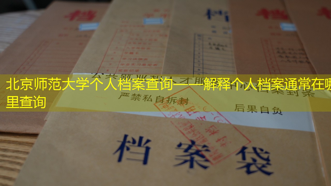 档案查询