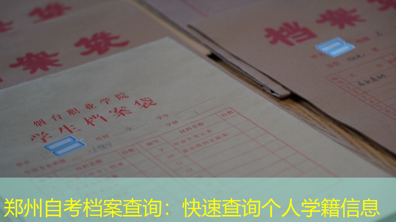 档案查询