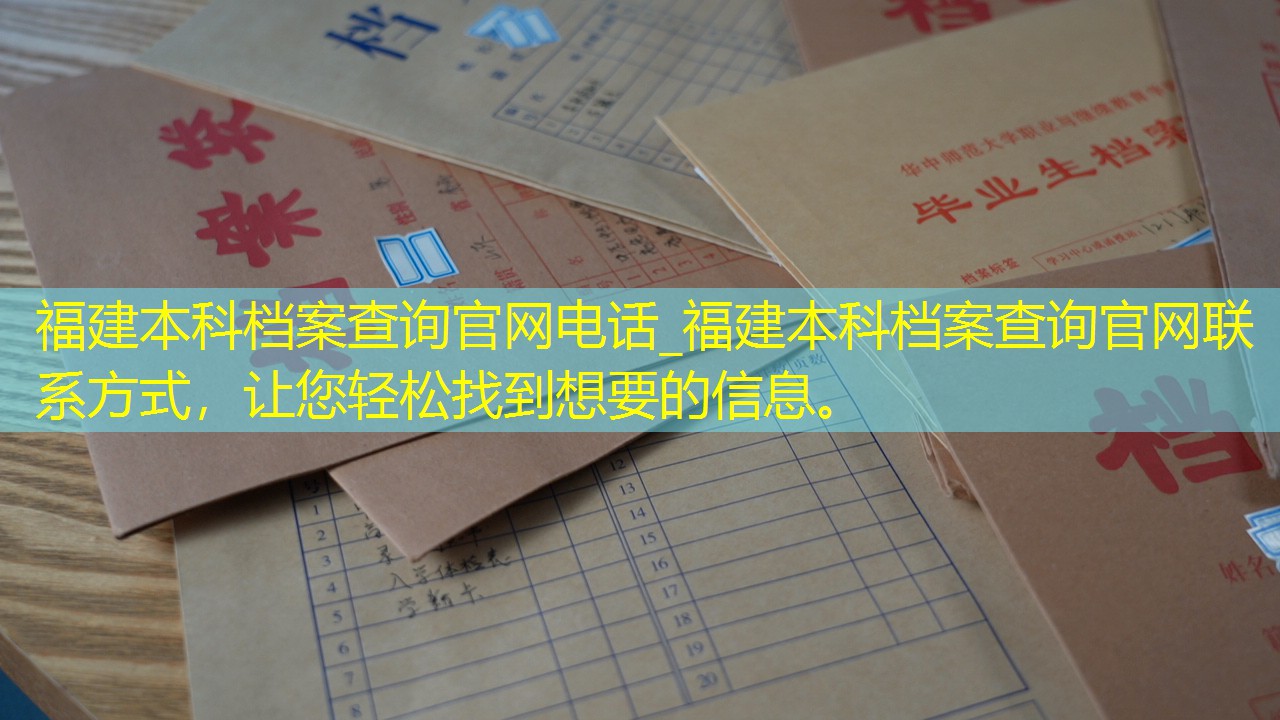 档案查询