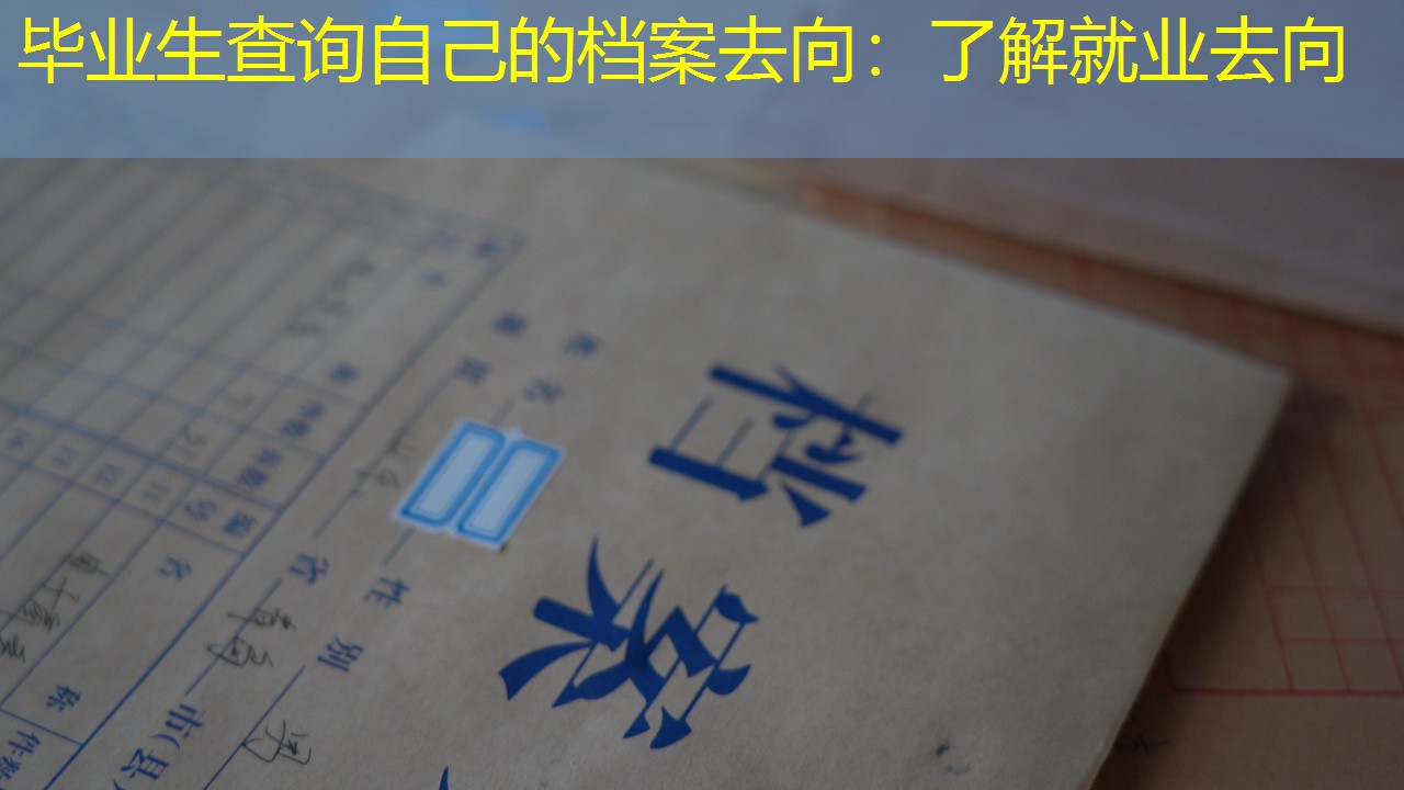 档案查询