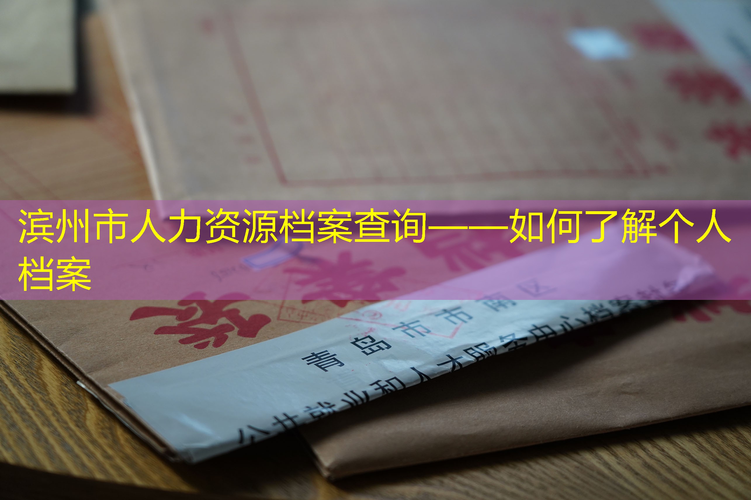 档案查询