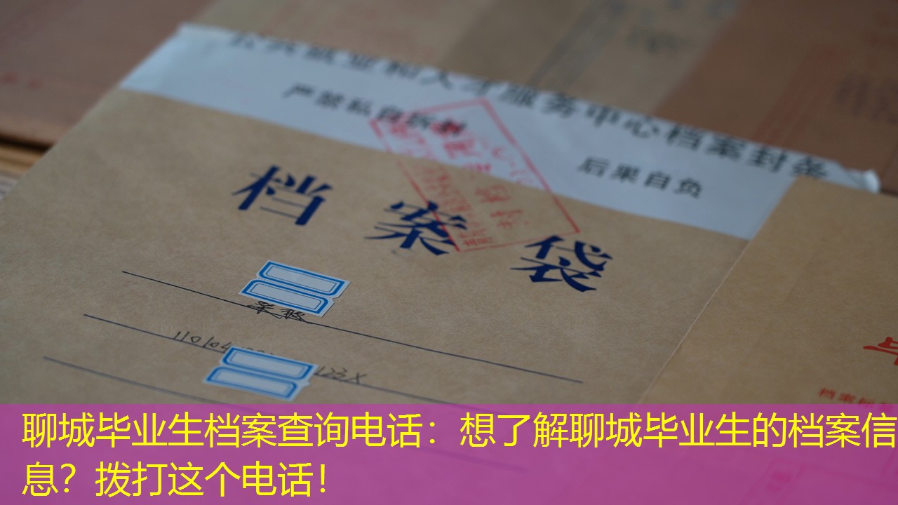 档案查询