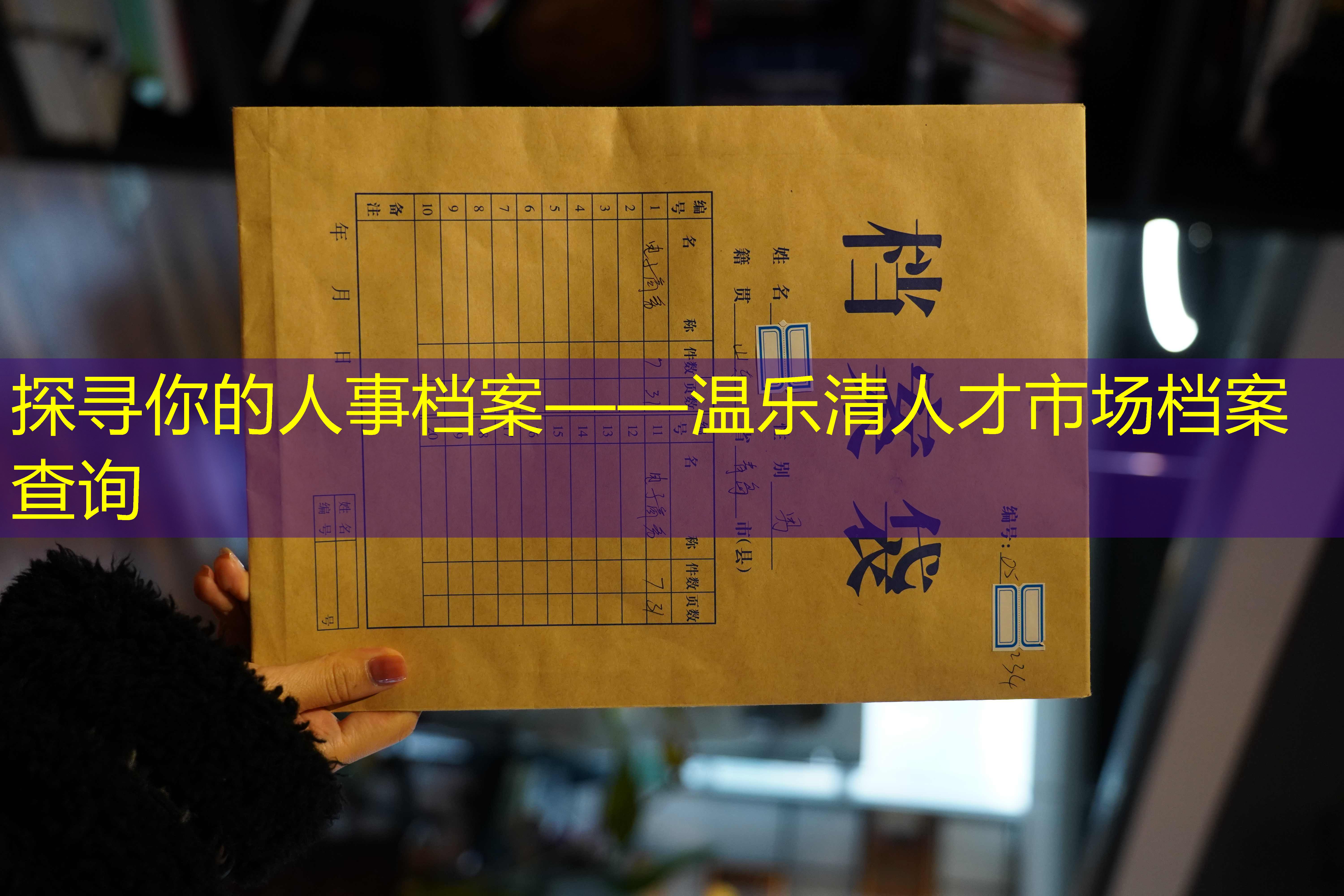 档案查询