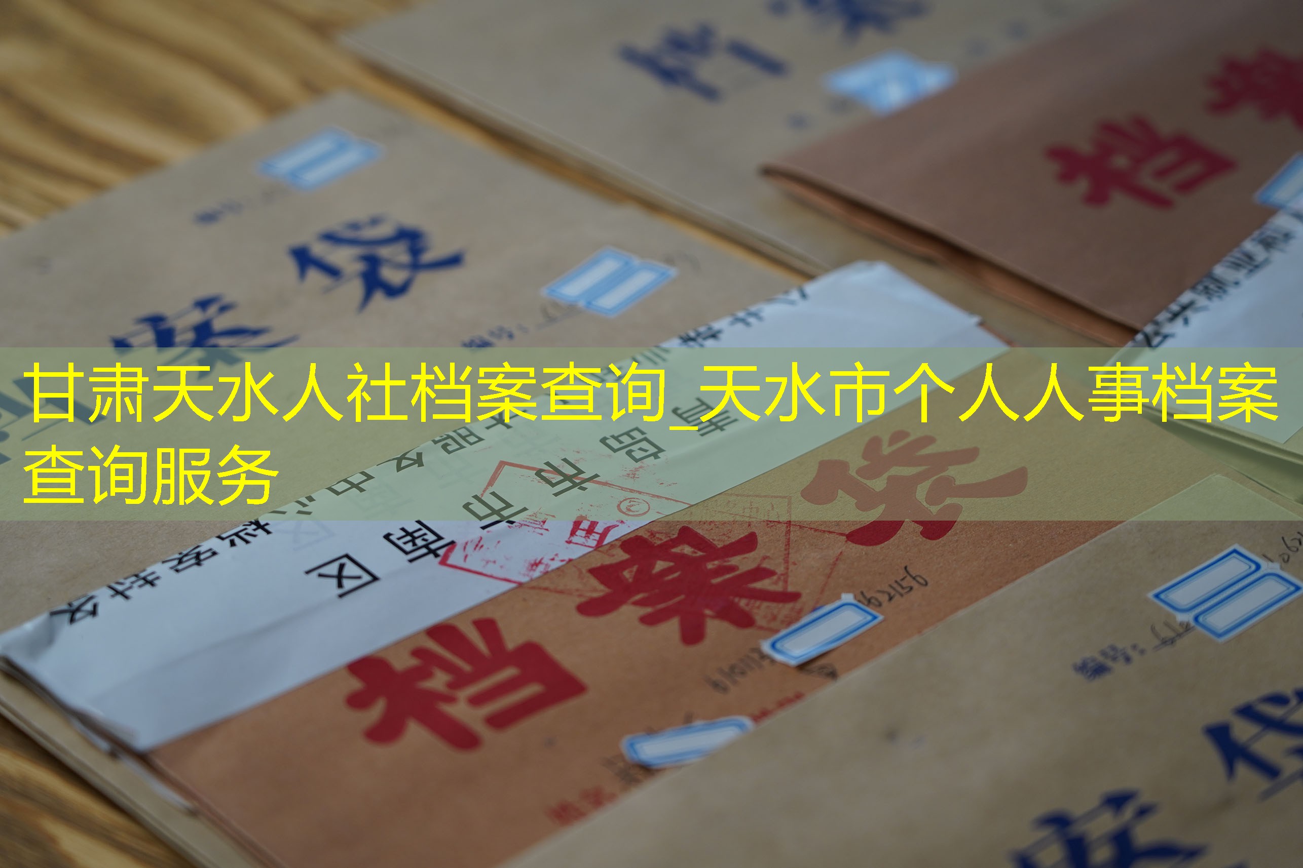 档案查询